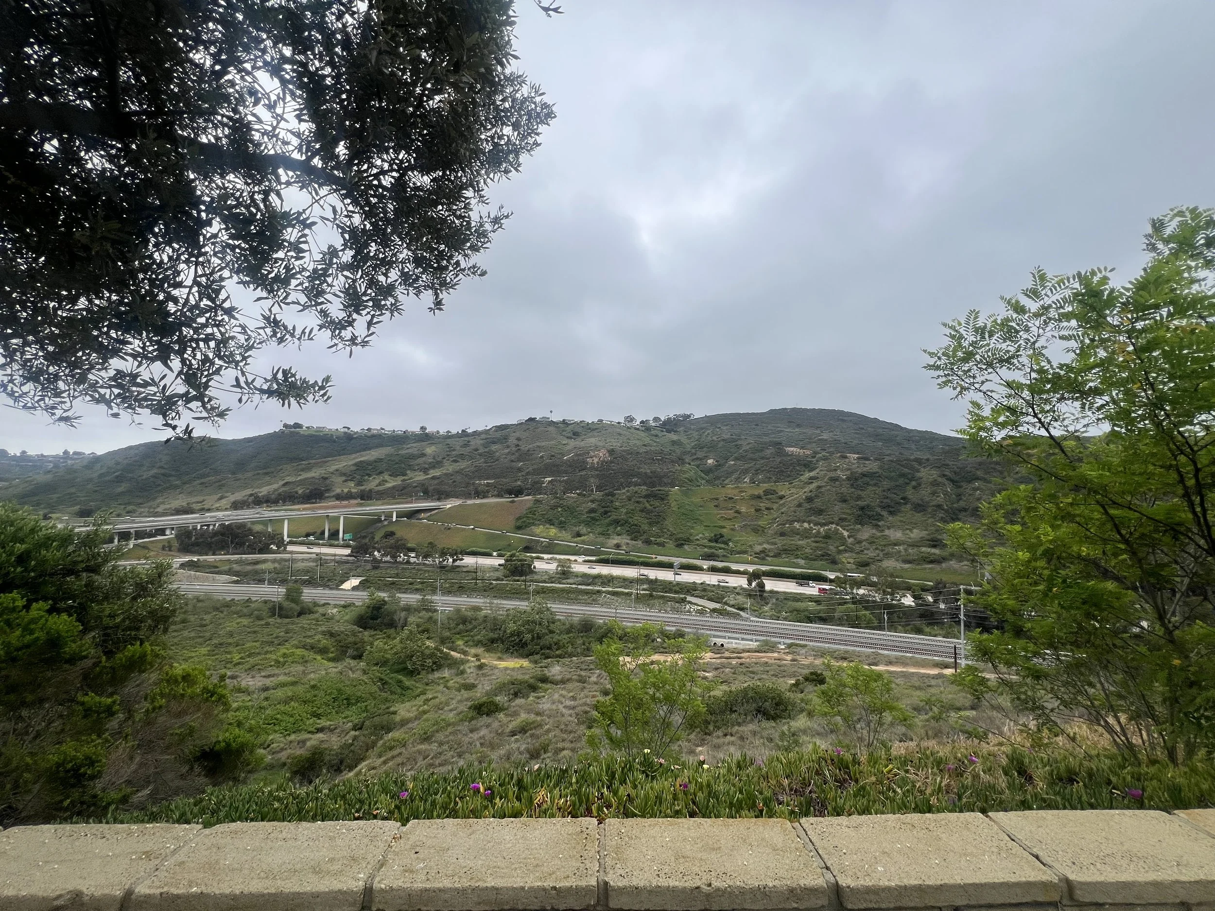 IMG_2935.jpeg