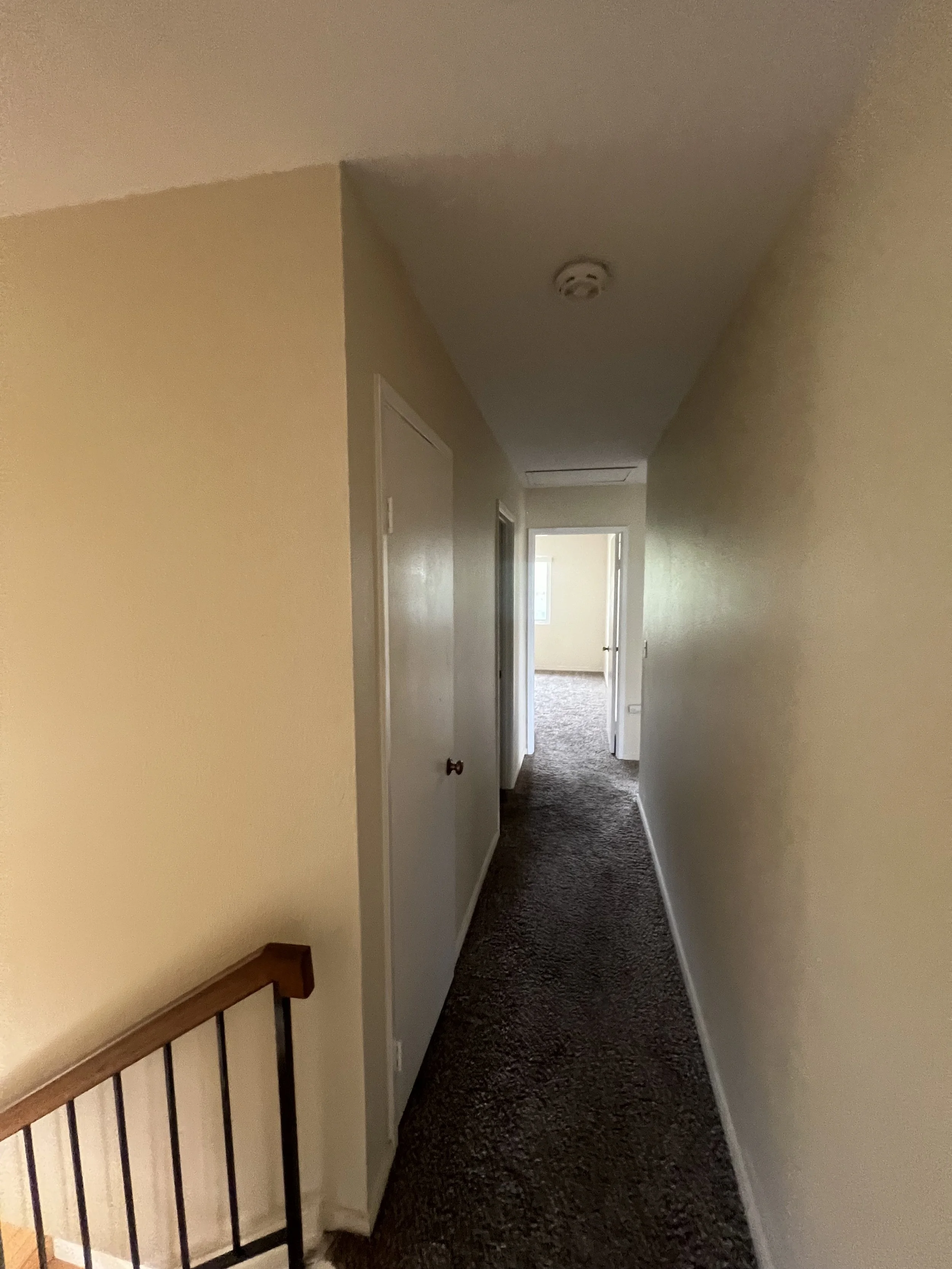 IMG_2919.jpeg