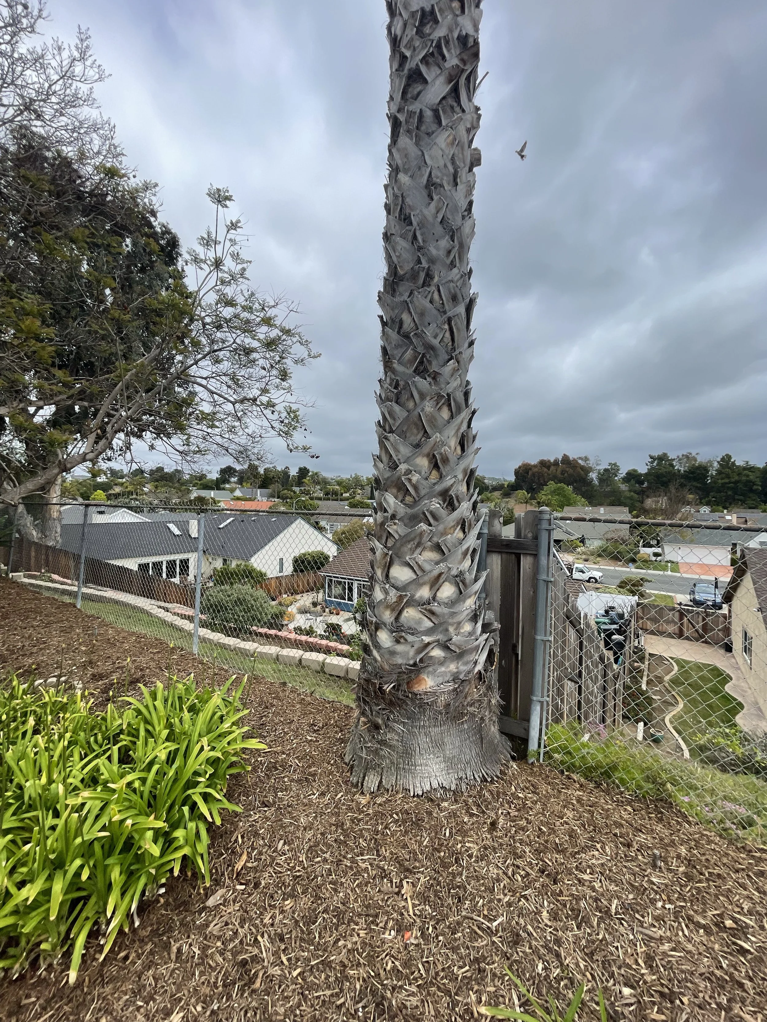IMG_2201.jpeg