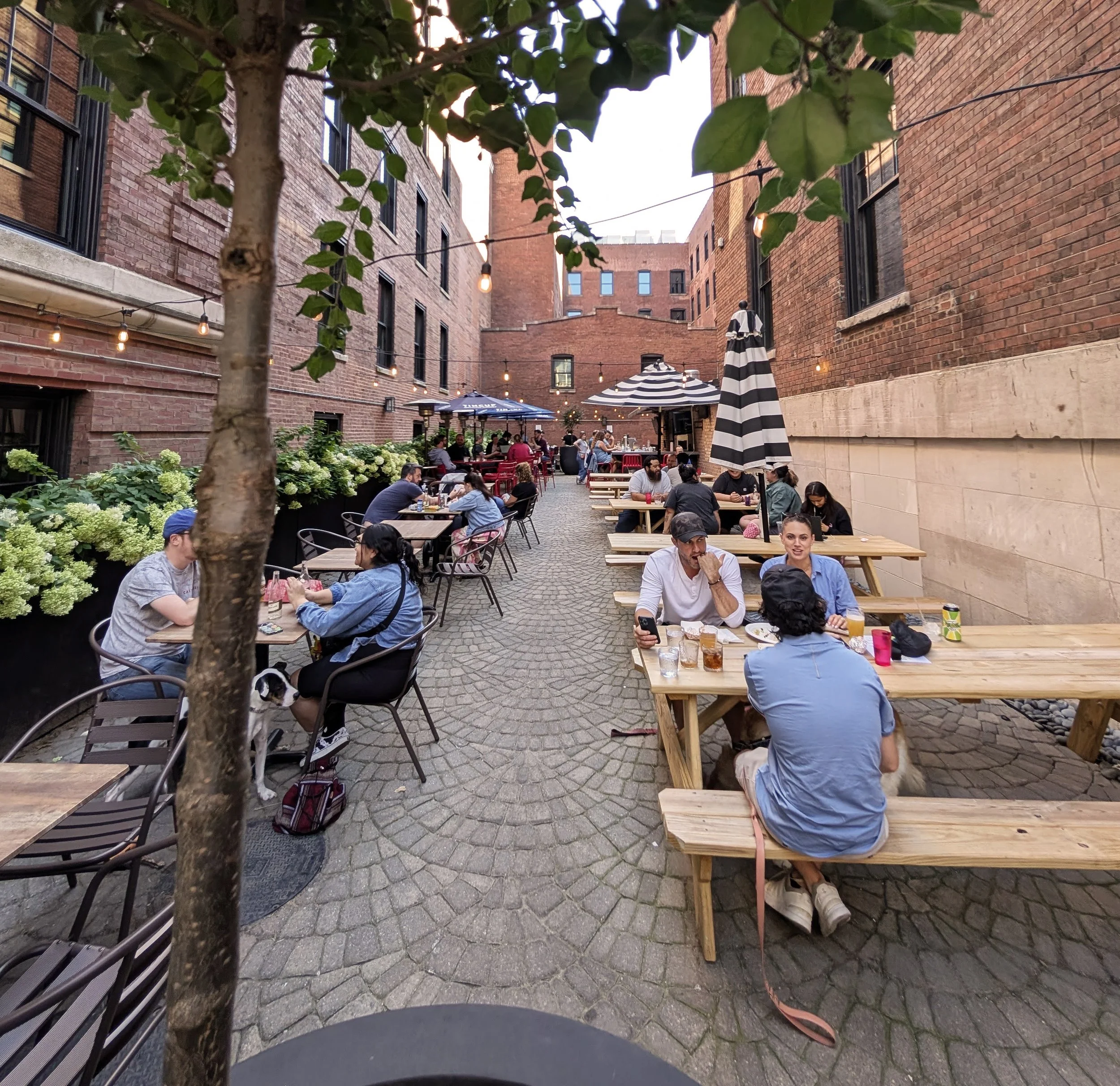 People dining outdoors in a courtyard with brick walls, string lights, umbrellas, and lush greenery.