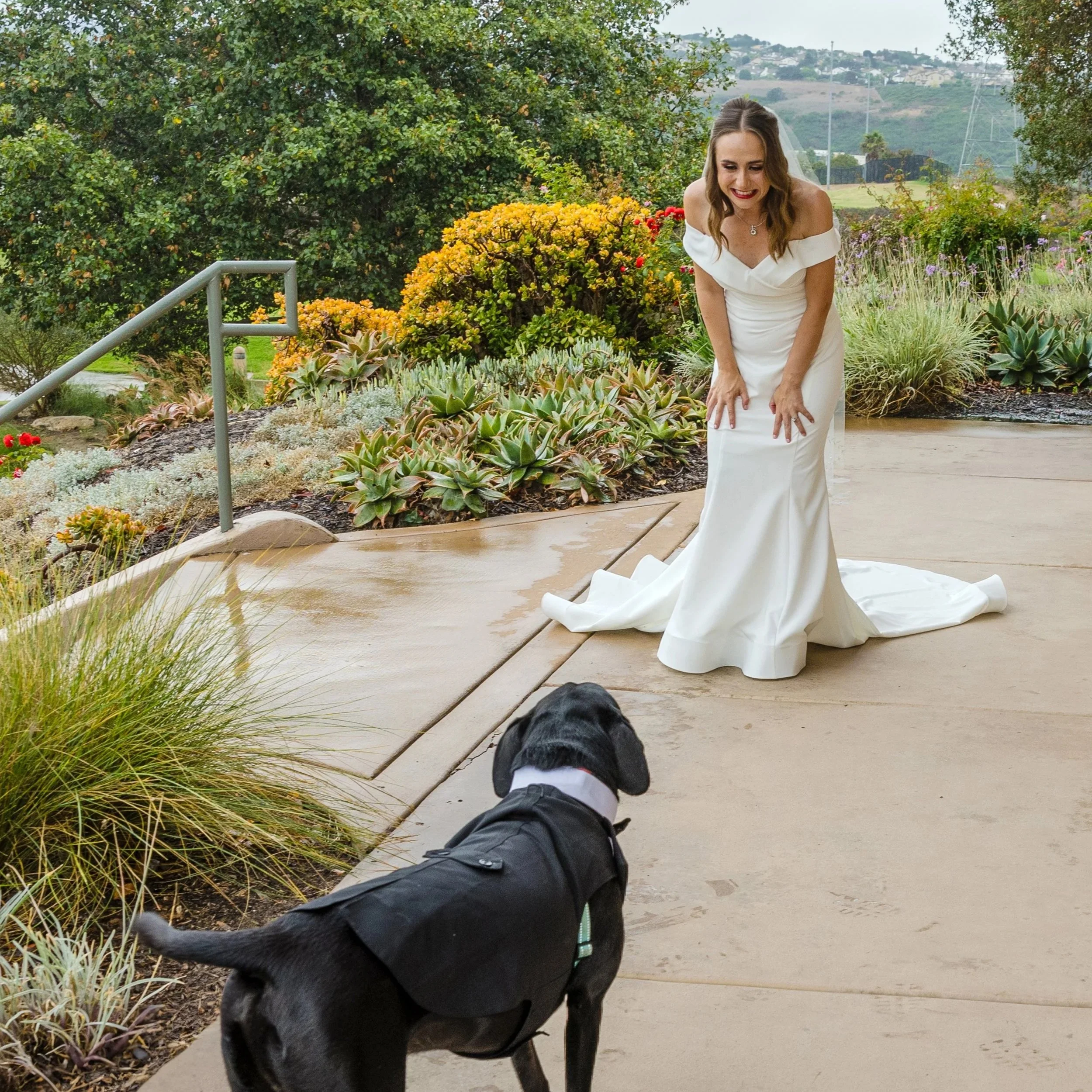 Tim Otto Photography