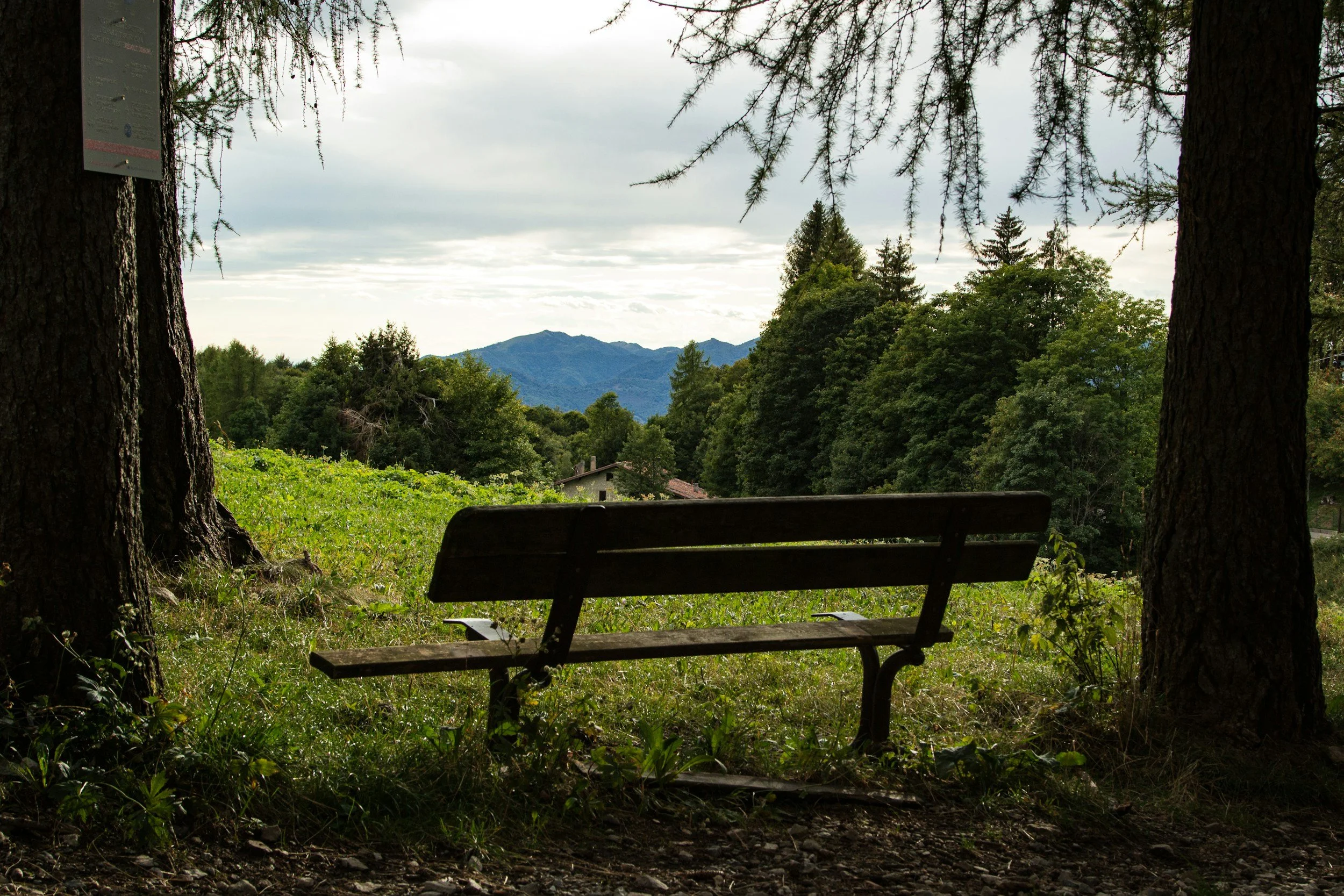 Who Gets Missed? Eating Disorders in Marginalized Populations