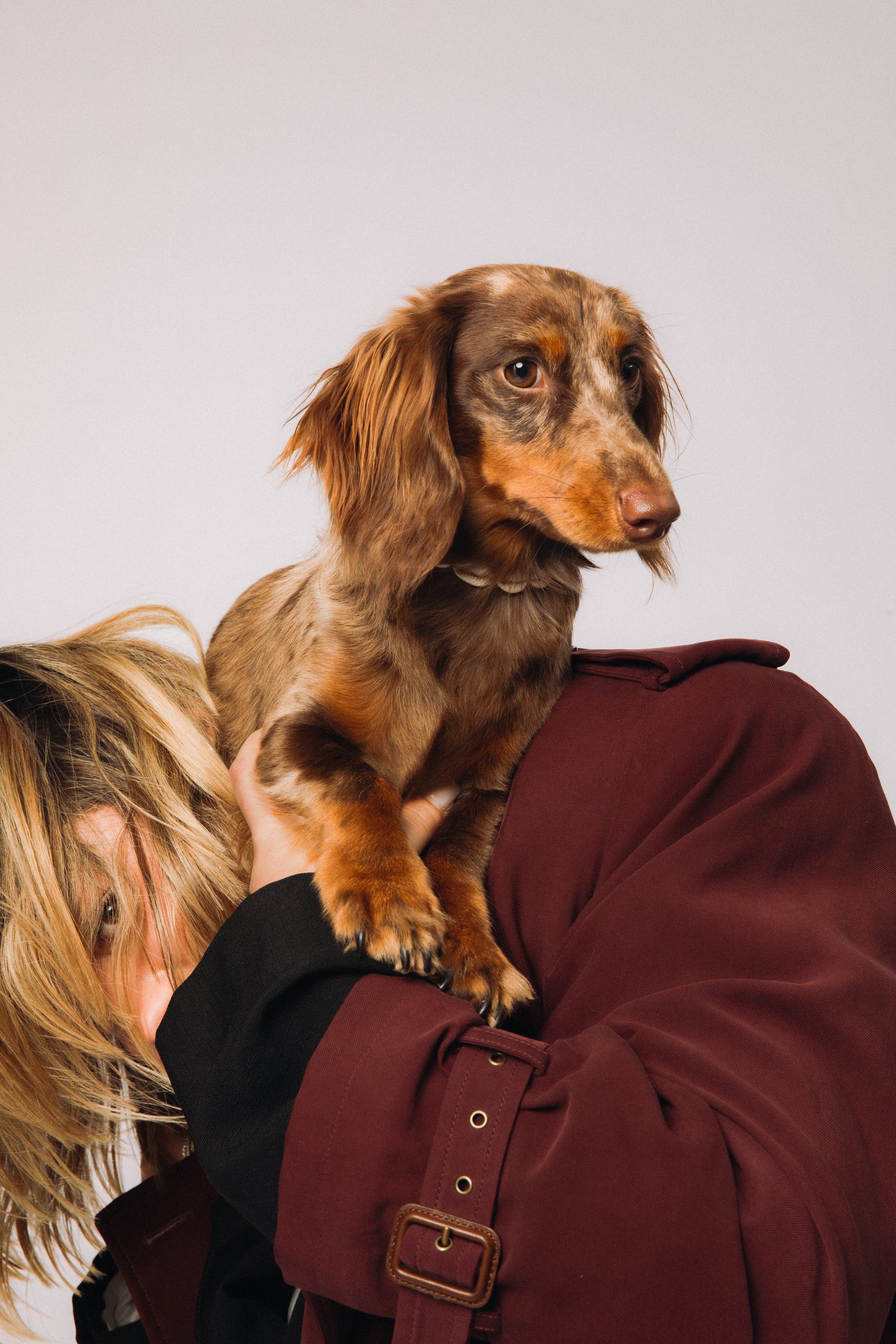 DOGSHOOT-24.jpg