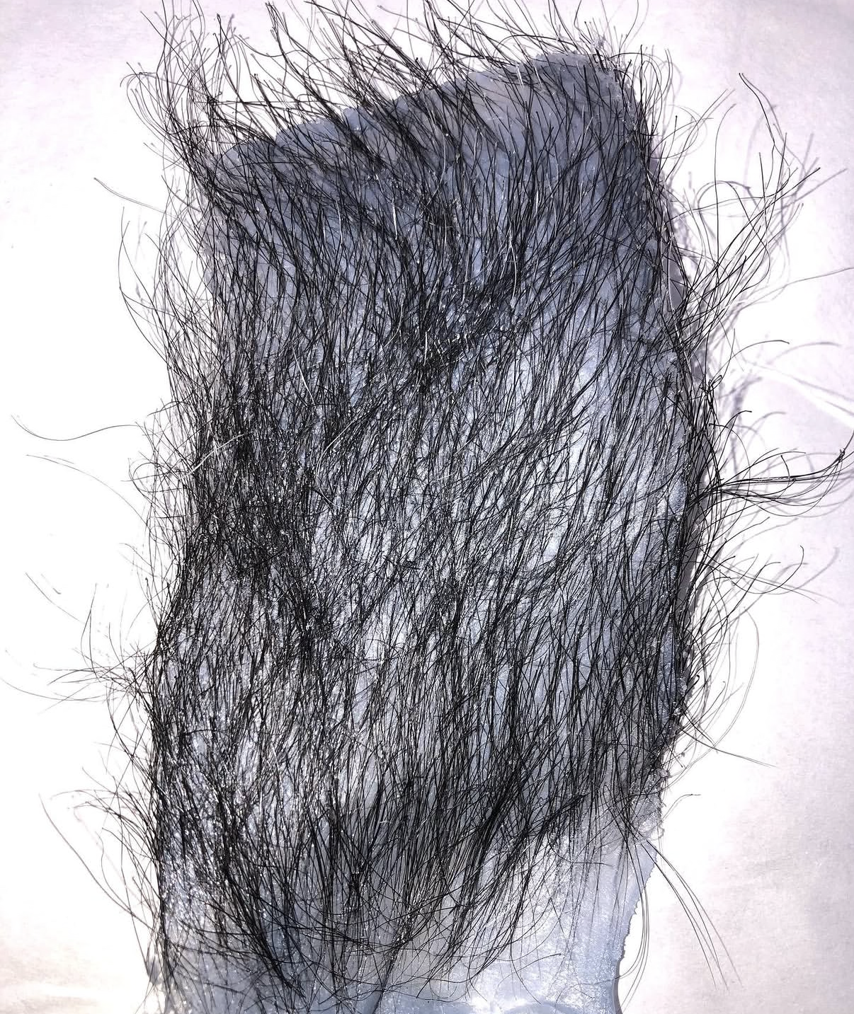 IMG_6126.png