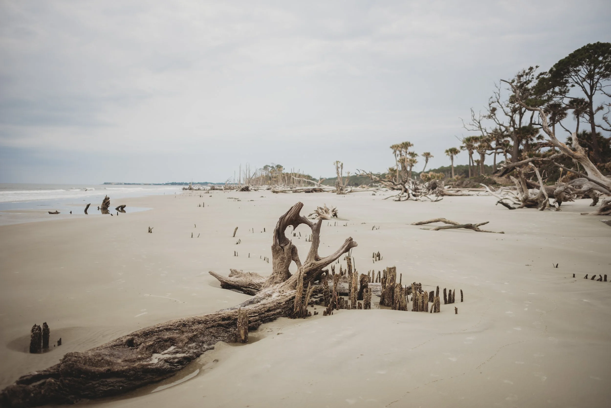 Hunting Island State Park