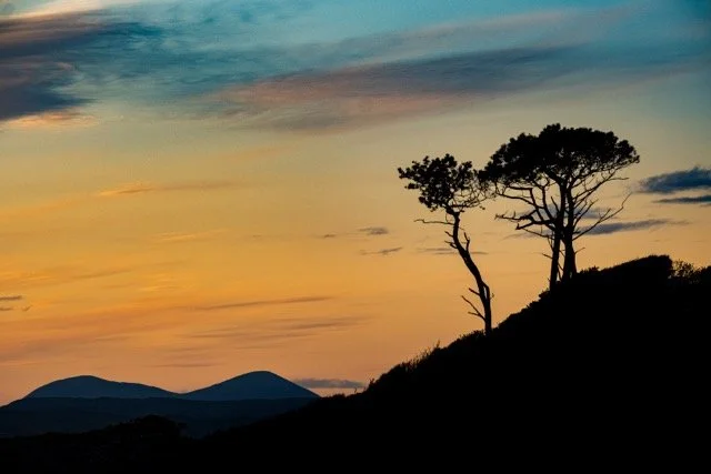 Arisaig Silhouette 6x4 Medium.jpeg