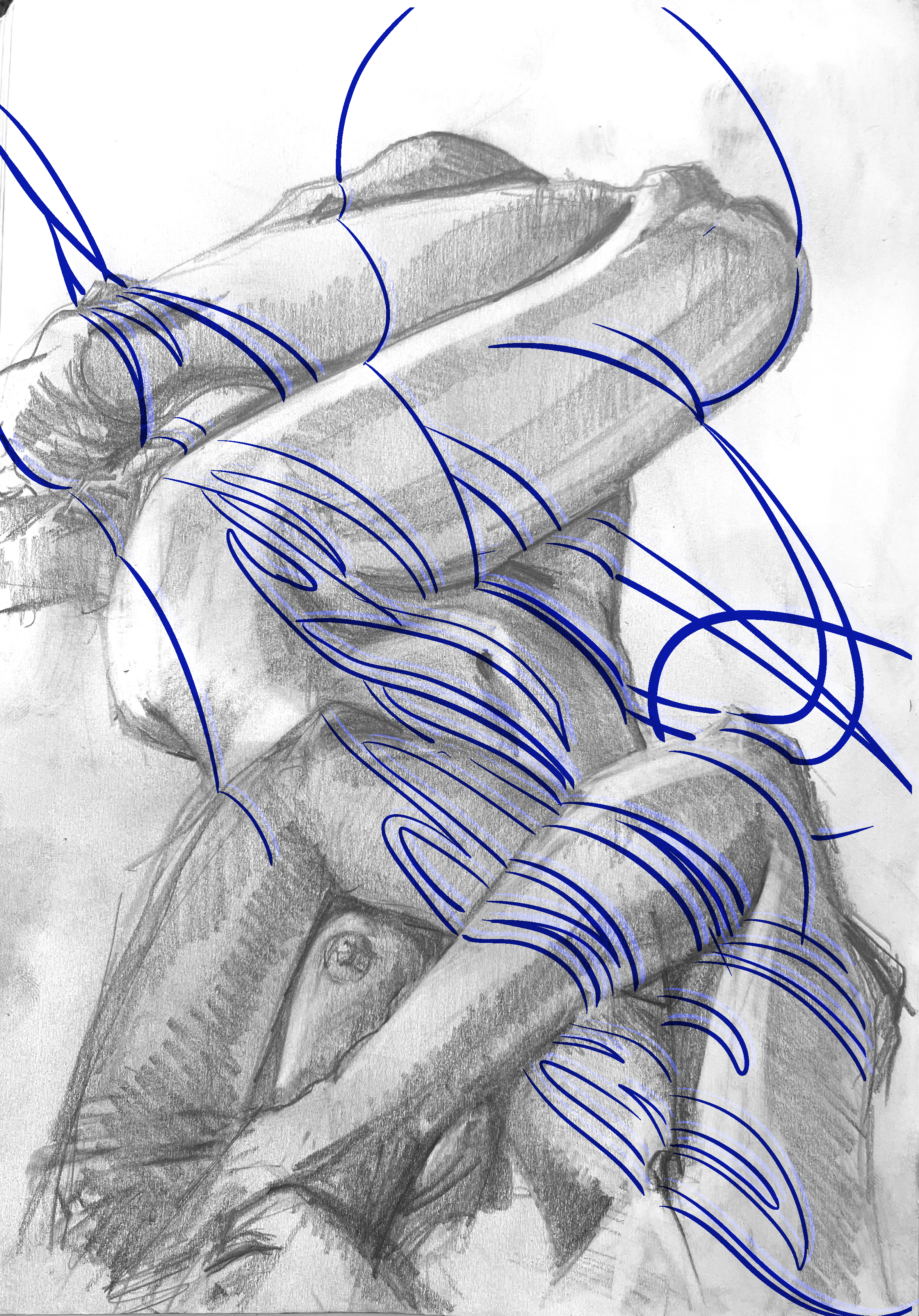 IMG_5216.PNG