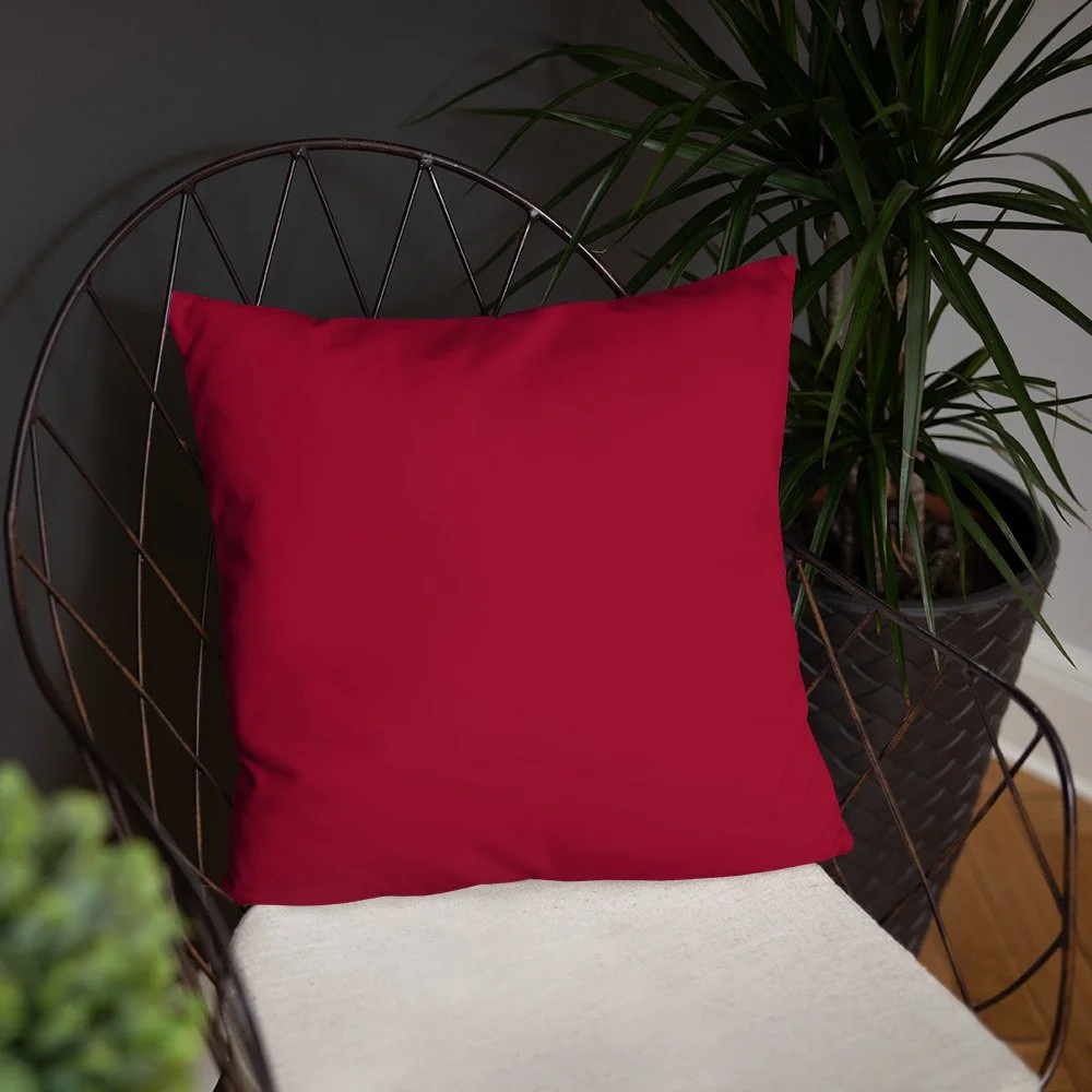 all-over-print-basic-pillow-18x18-back-lifestyle-4-65a2857636b1a.jpg