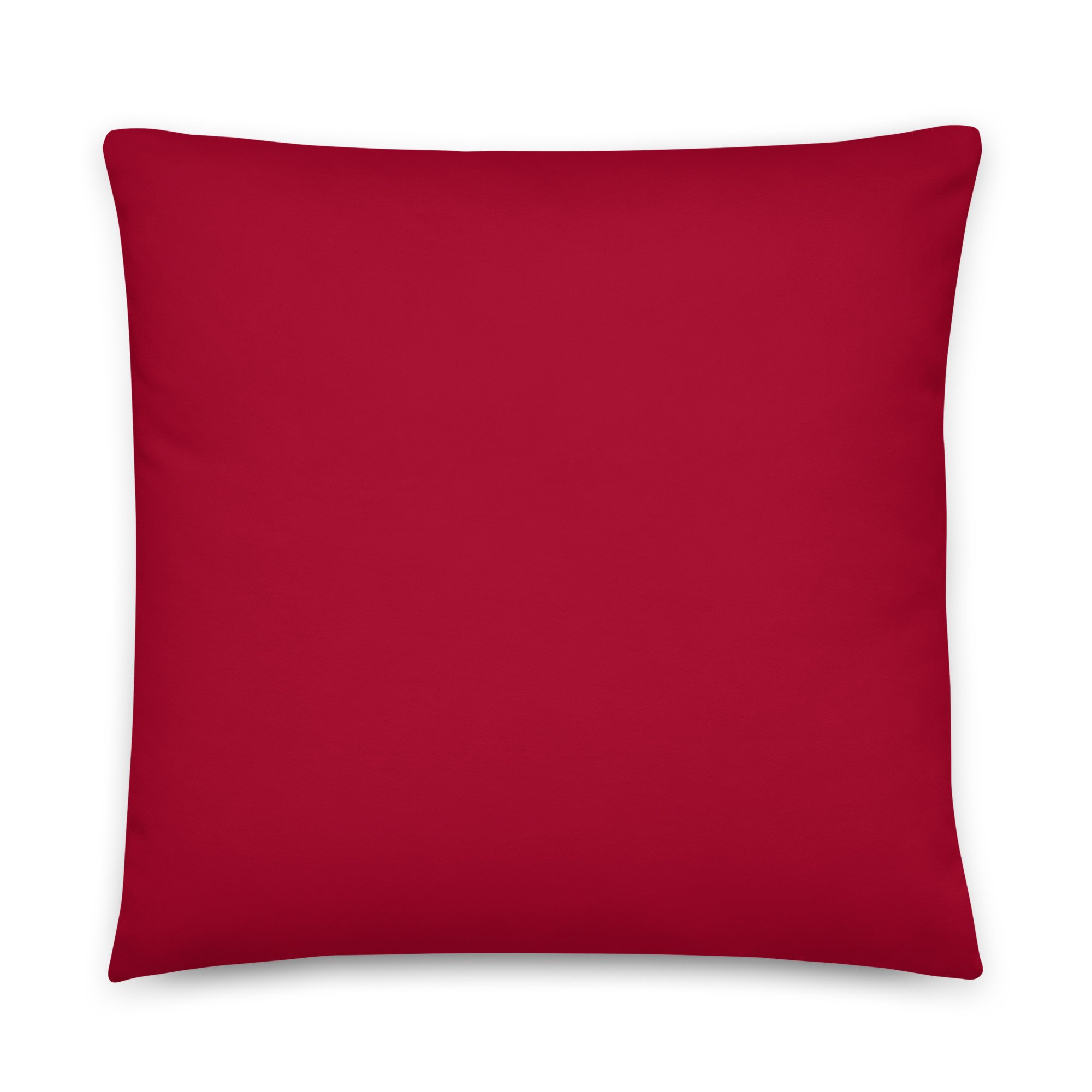 all-over-print-basic-pillow-22x22-back-659808dc17b7e.jpg