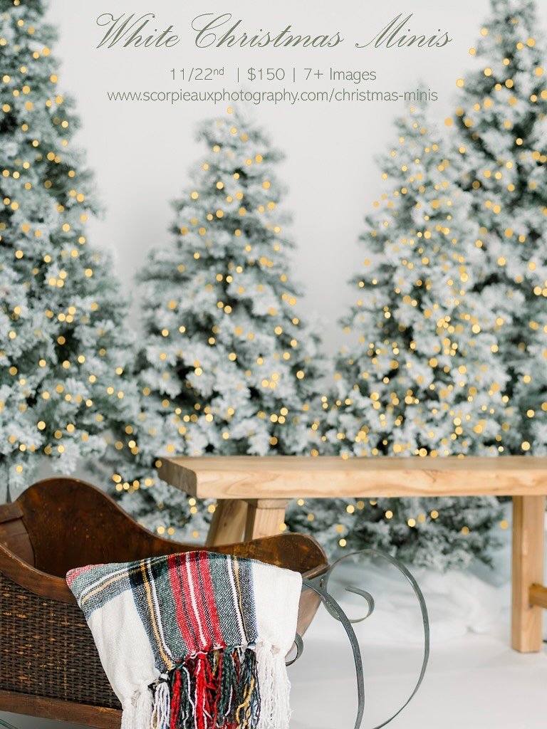 It&rsquo;s that time of year again! 🎄
I&rsquo;ll be offering 4 different Holiday Minis later this year! 

Each mini is $150, but right now, I&rsquo;m running a &ldquo;Christmas in July&rdquo; sale with $30 off your total price!! 

These setups are m