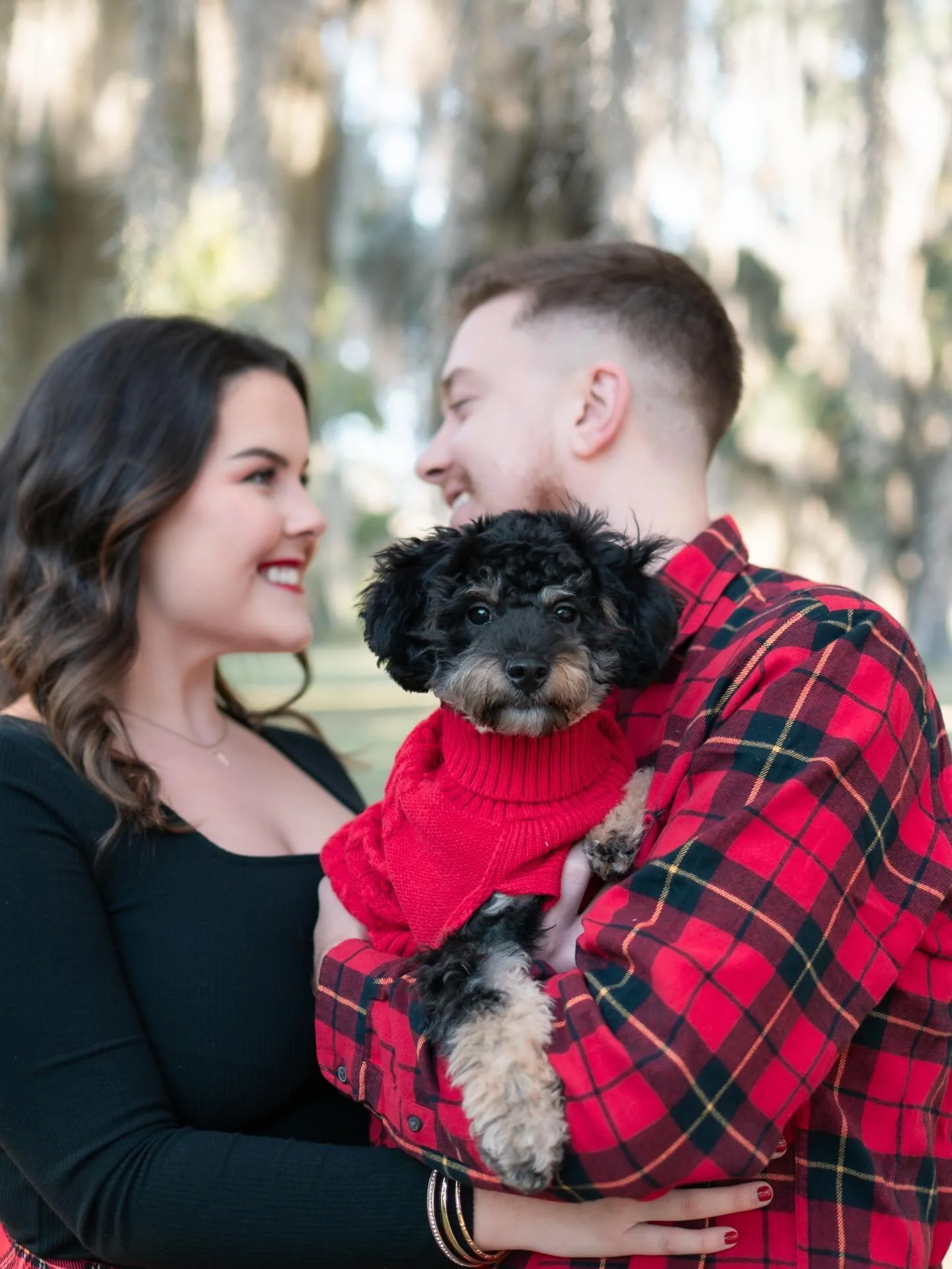 The most pawfect session filled with the sweetest dogs ever!! 🐾 You can&rsquo;t convince me they aren&rsquo;t the most photogenic pups!