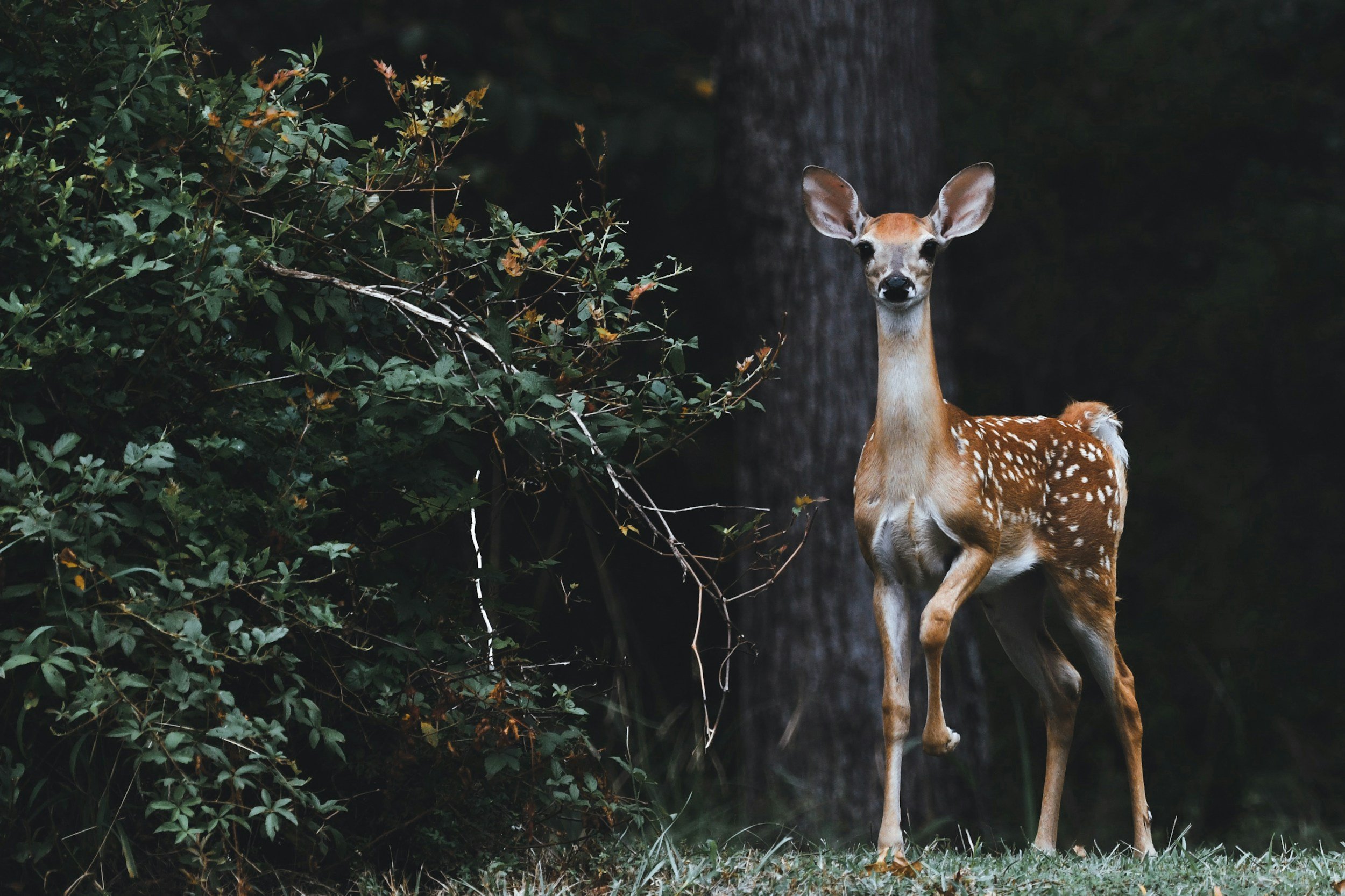 People-Pleasing Isn't Kindness — It's a Survival Strategy (And How to Unlearn It)