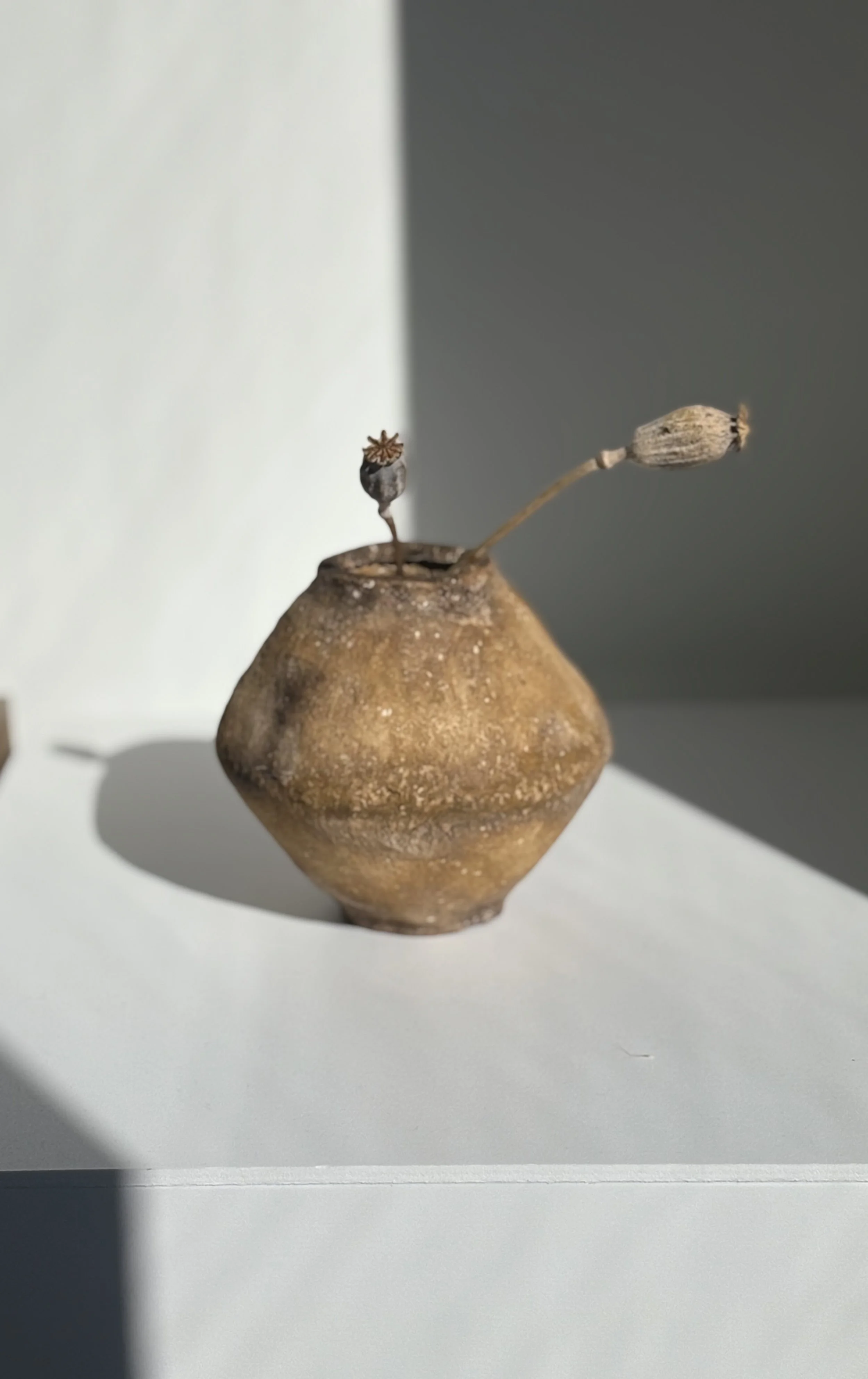 parchedvase_3.jpg