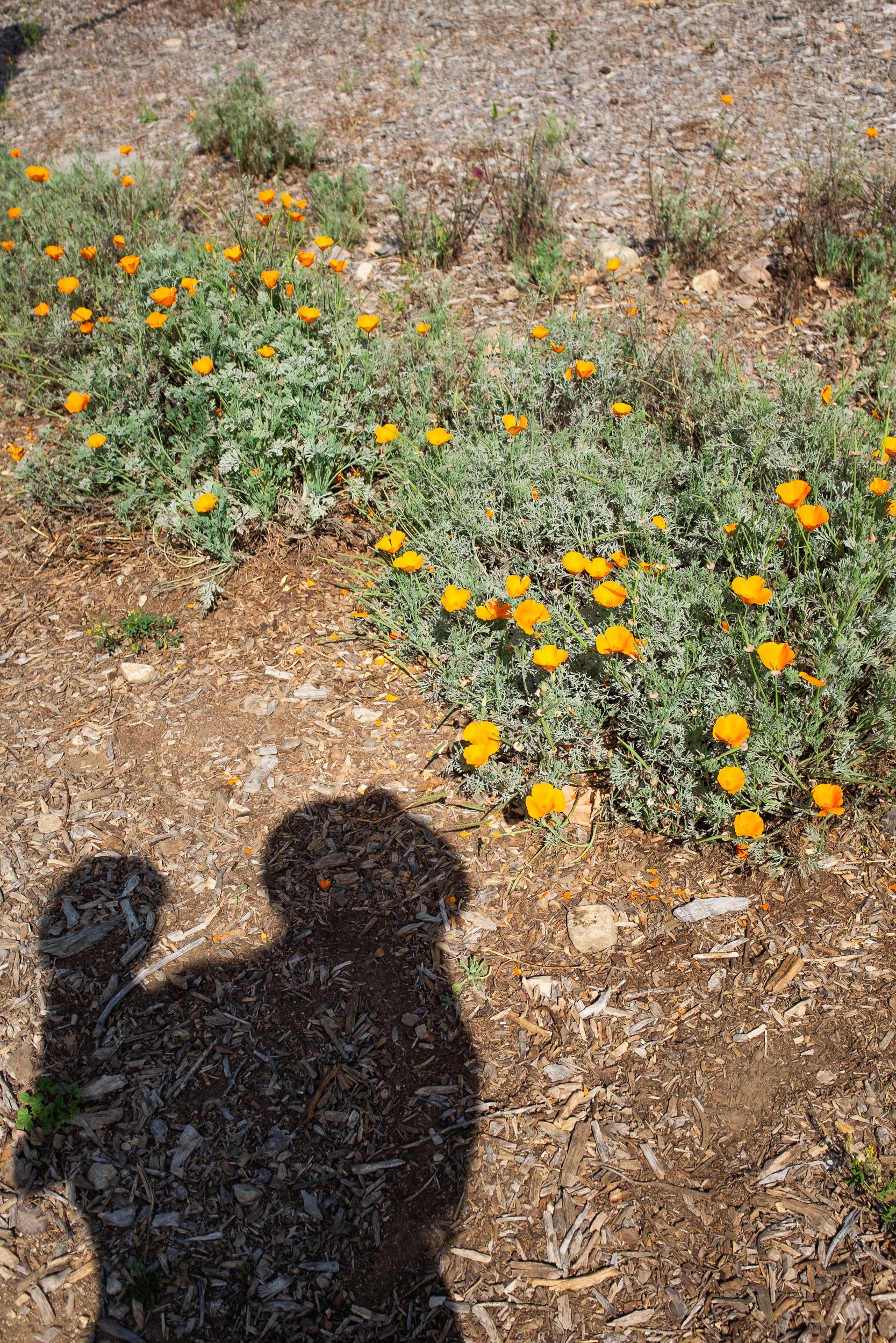 Pasadena_Family_Photographer_02.jpg