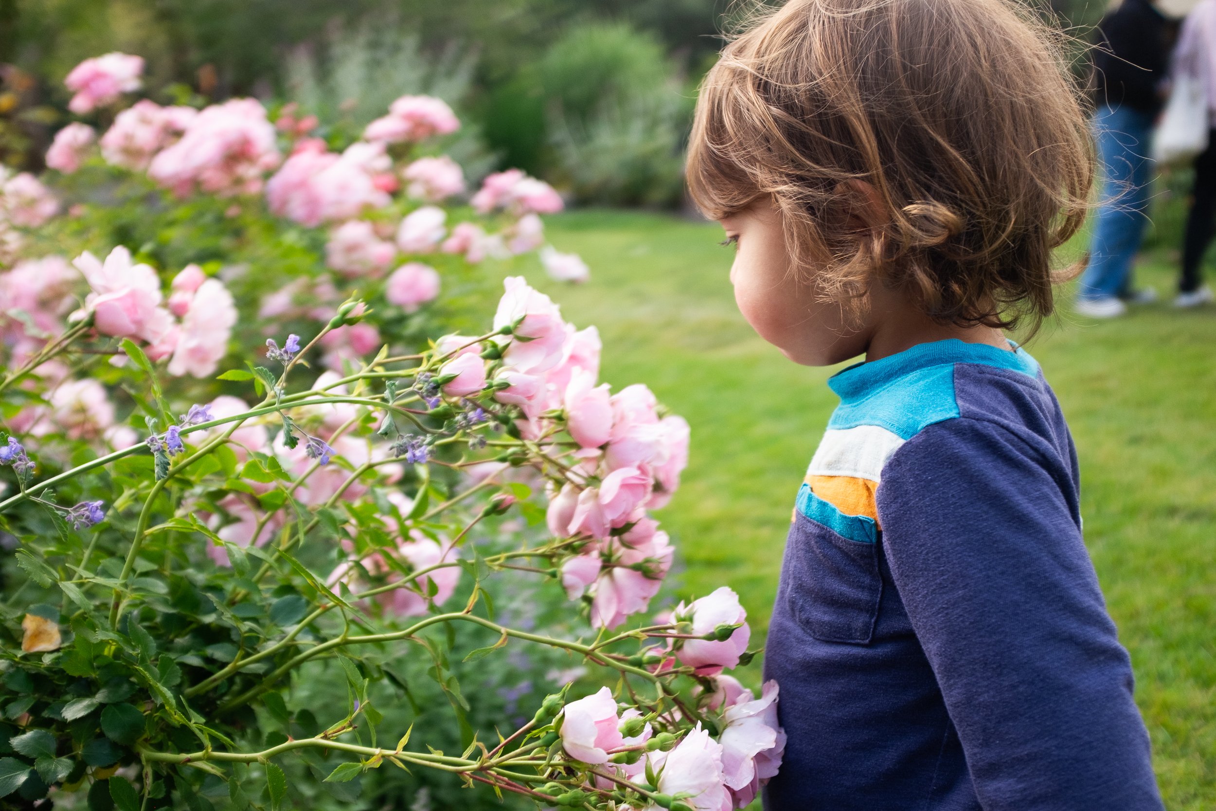Pasadena_Family_Photographer_22.jpg