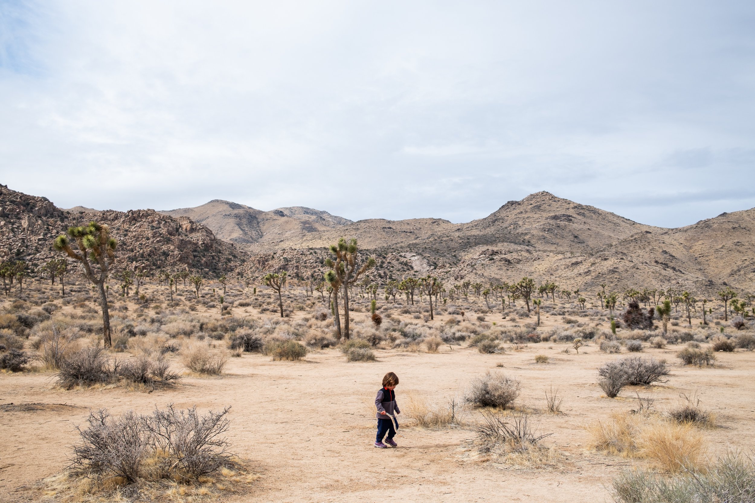 Pasadena_Family_Photographer_20.jpg