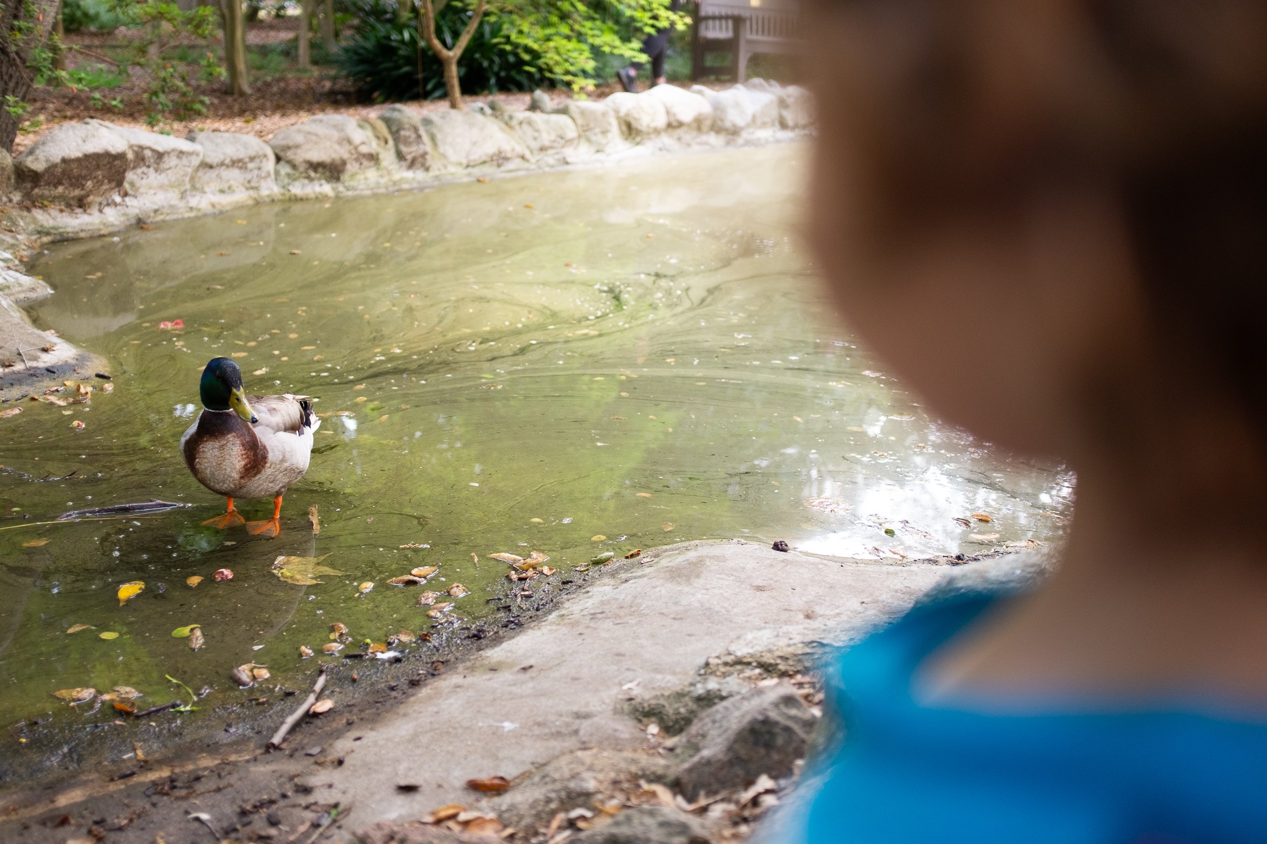 Pasadena_Family_Photographer_25.jpg