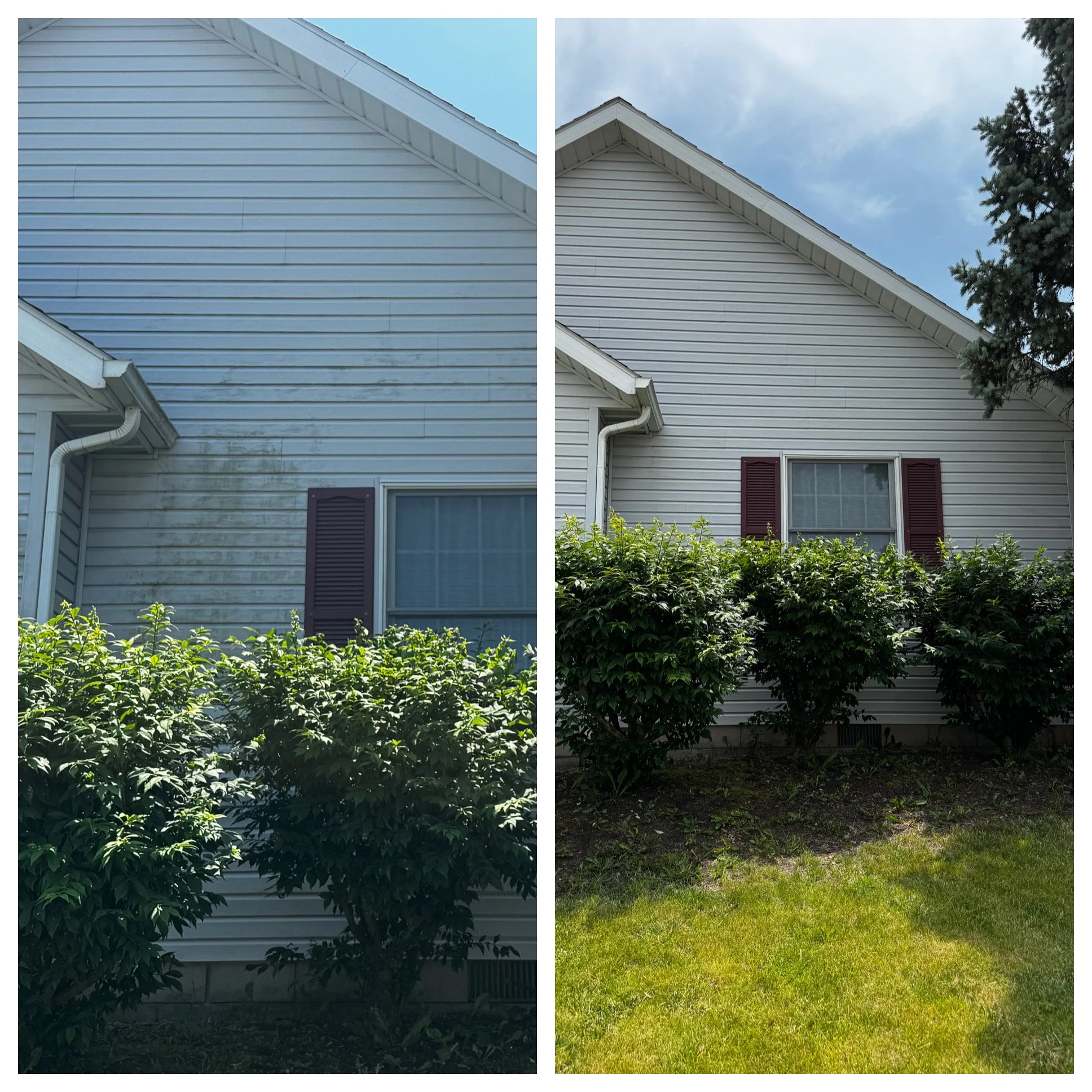 Home exterior transformed from green algae-covered to spotless after soft washing.