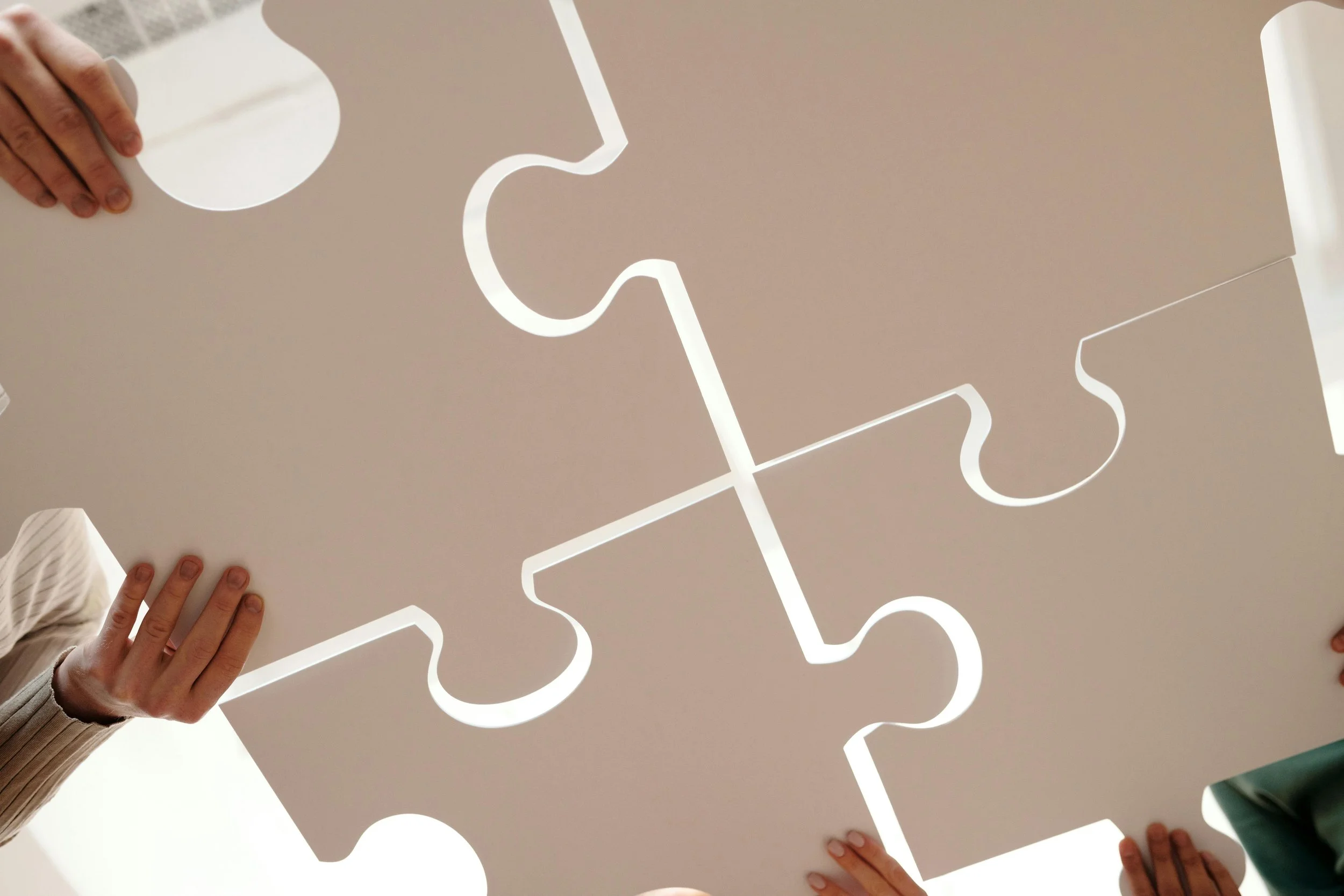 Why Application Cohesion Matters in Selective University Admissions