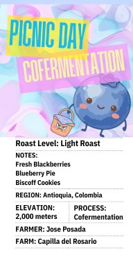 Picnic Day Cofermentation -- Blueberry