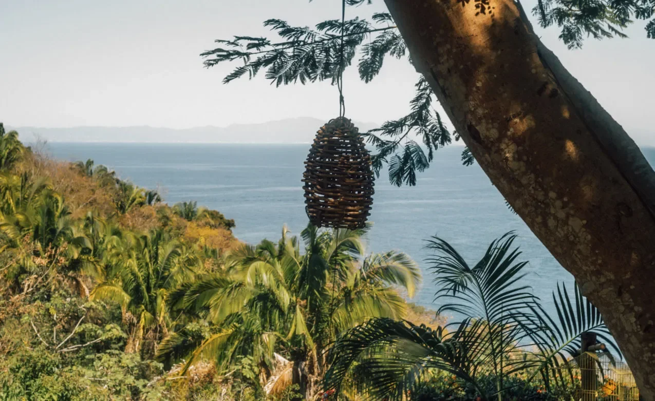 verana_casa_colibri_04-1275x781.jpg.webp