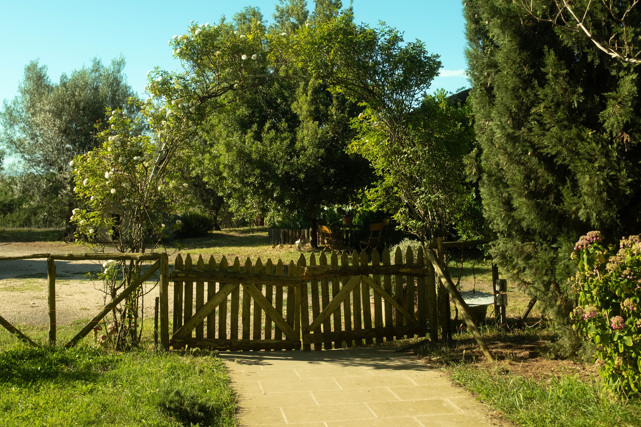 DSCF5151.jpg