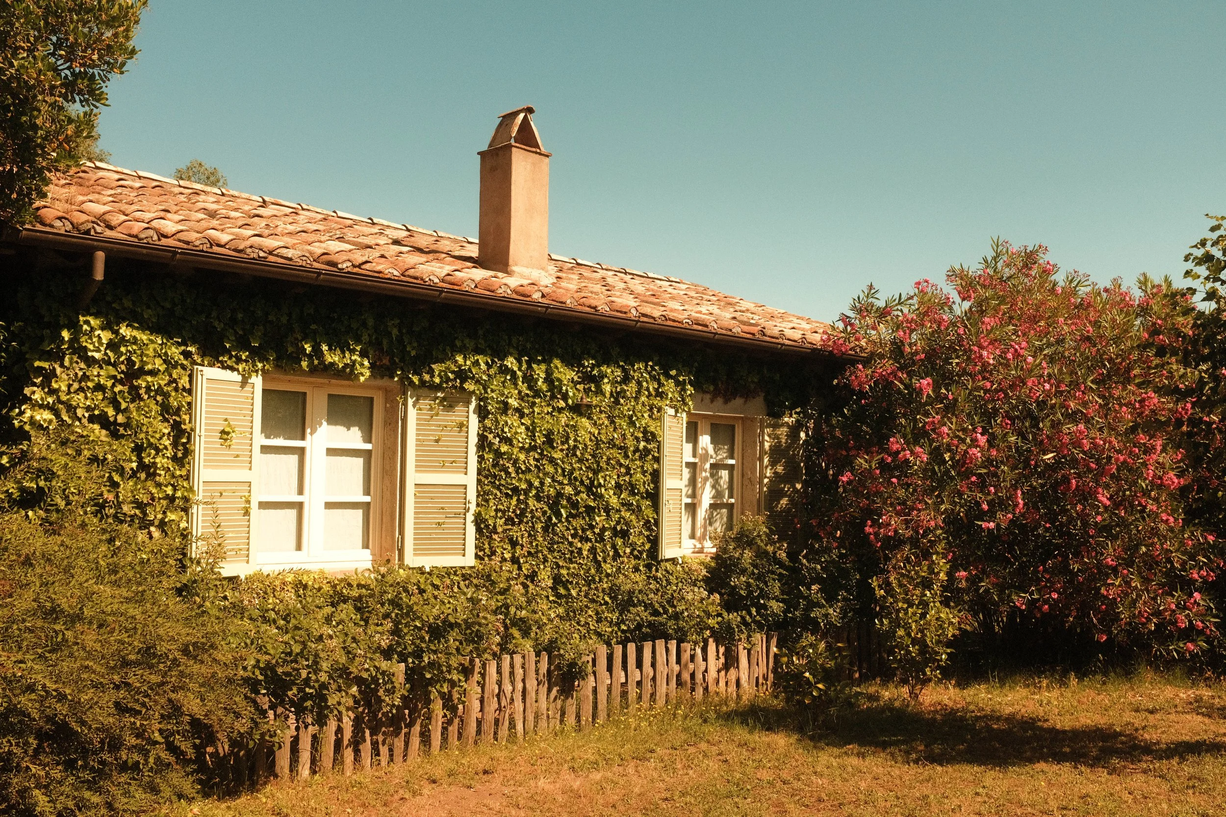 DSCF7170.jpg