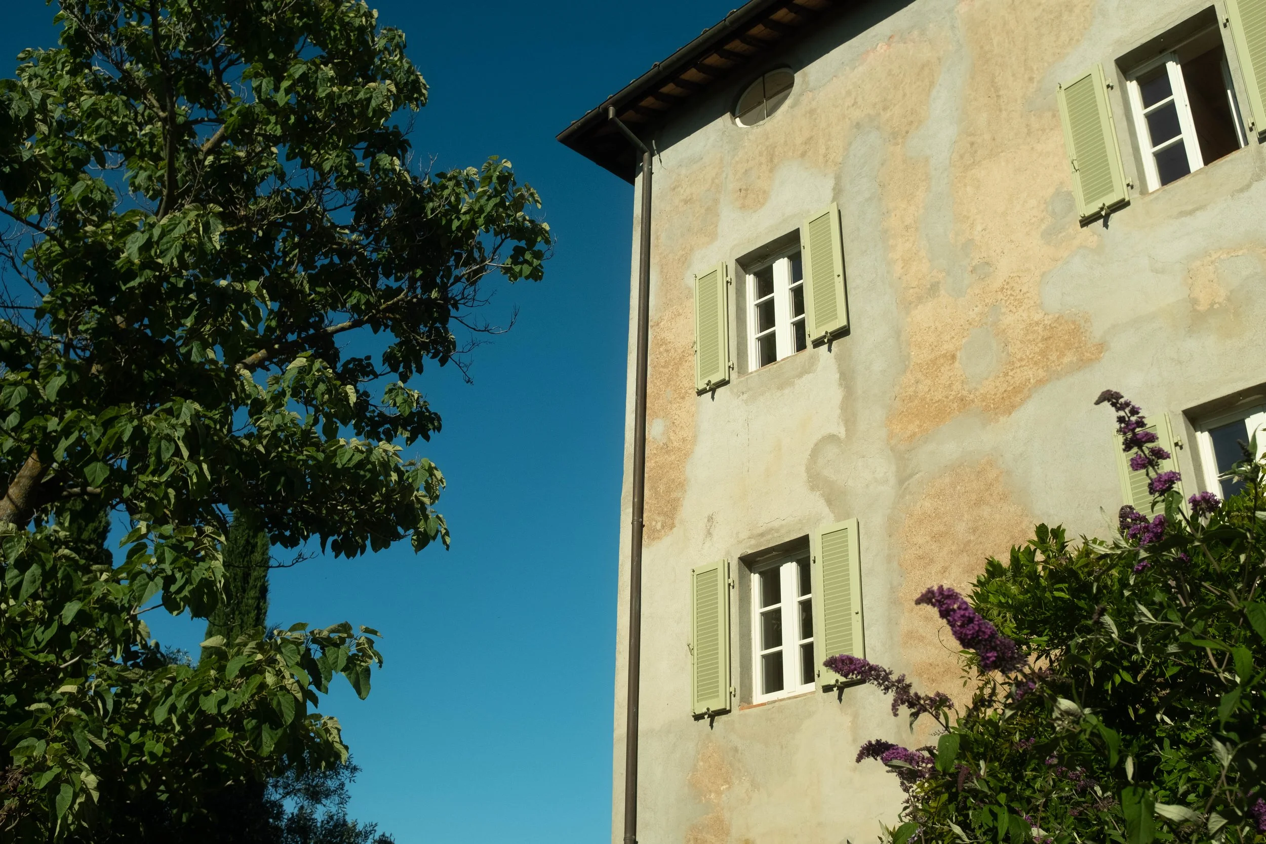DSCF5150.jpg