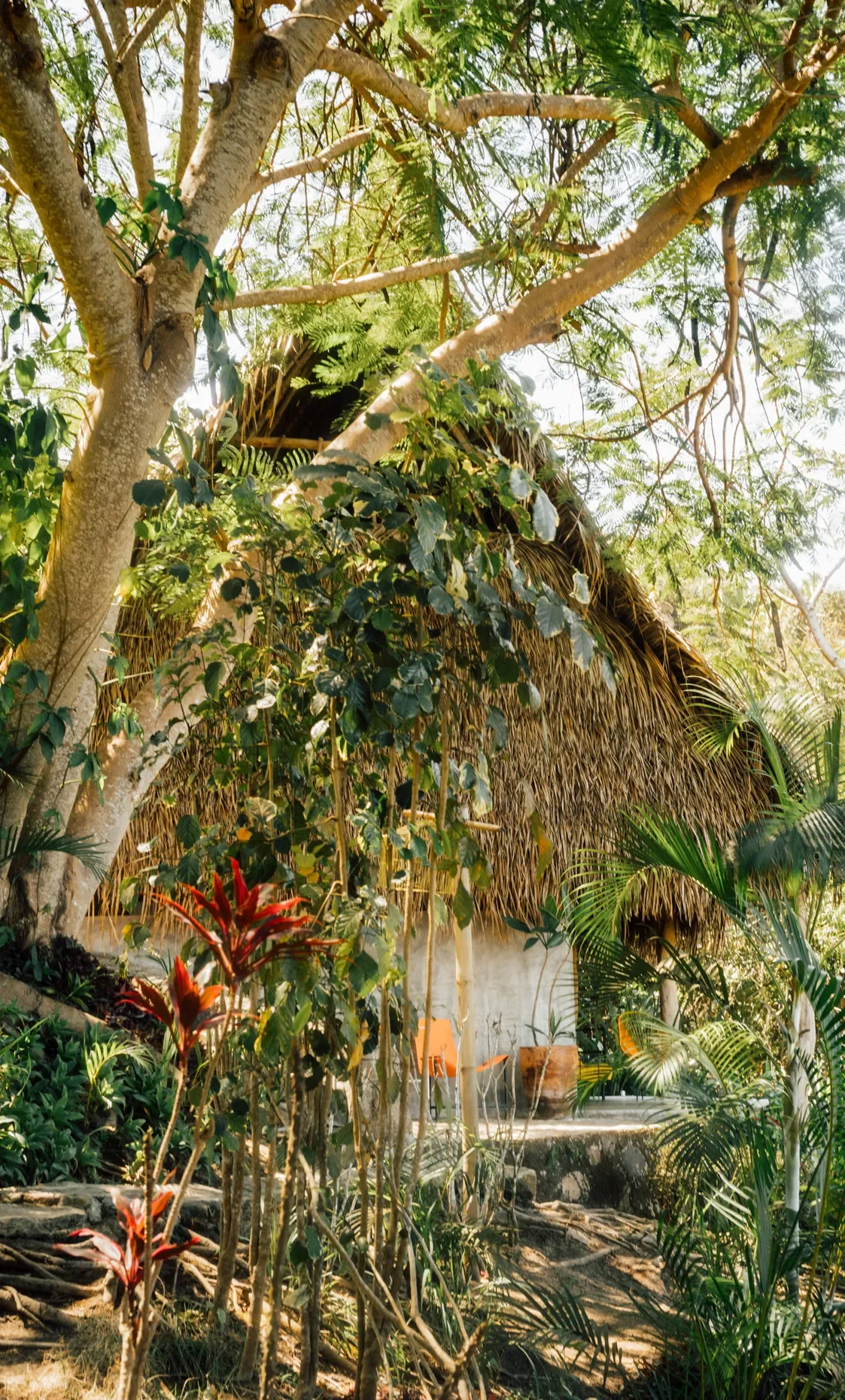 verana_casa_colibri_06.jpg.webp