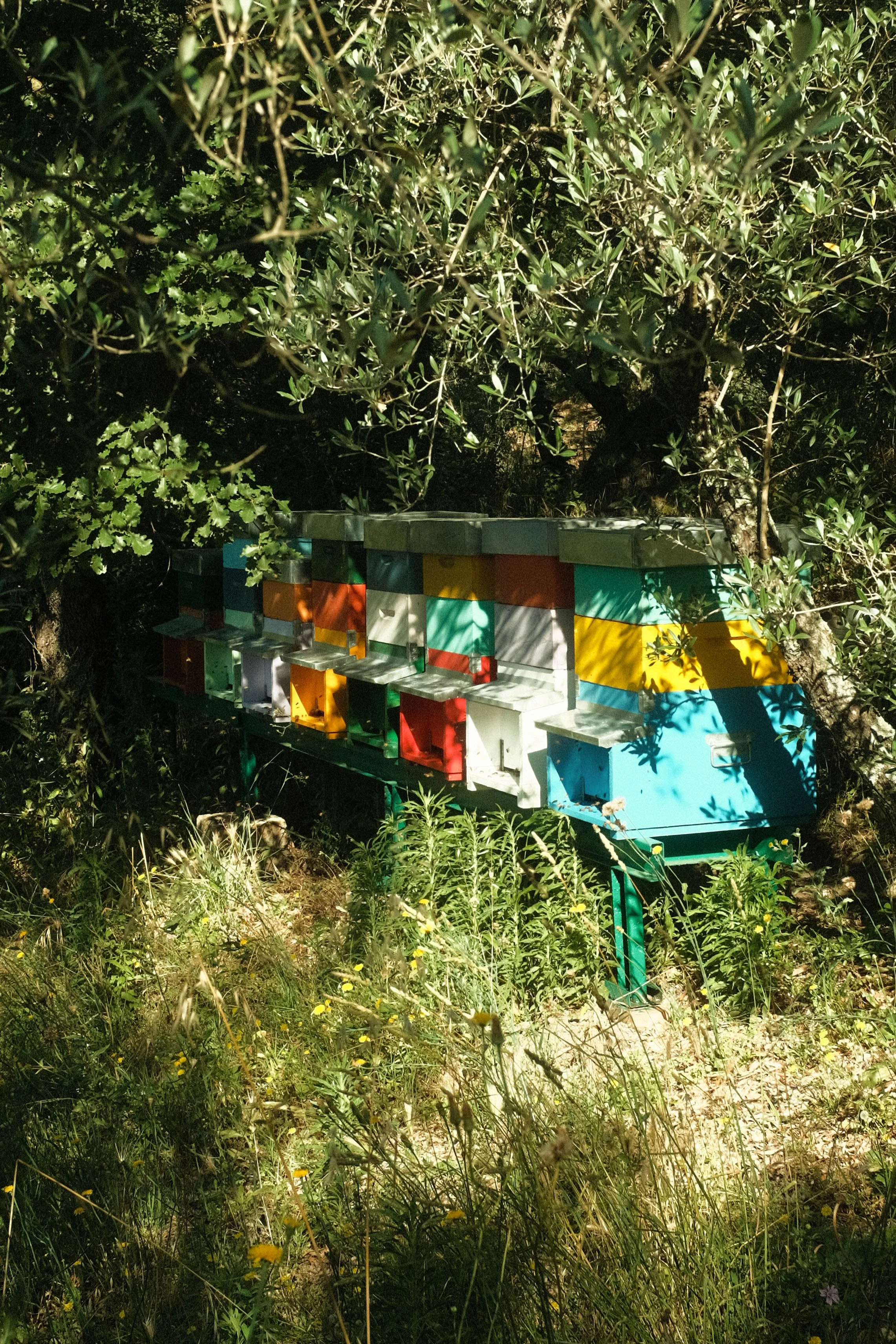 DSCF7043.jpg