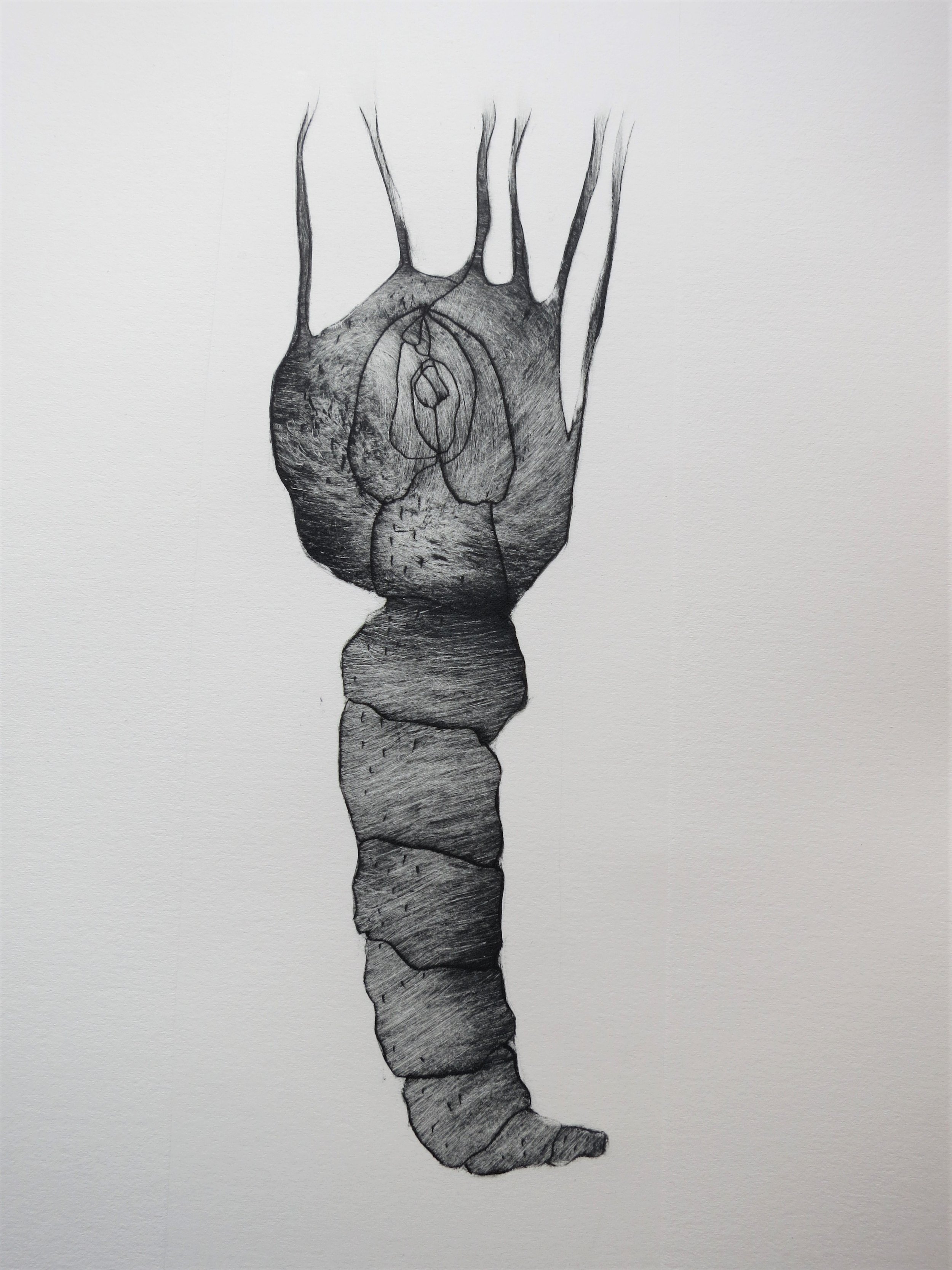 A.Contreras Estampe 3.JPG