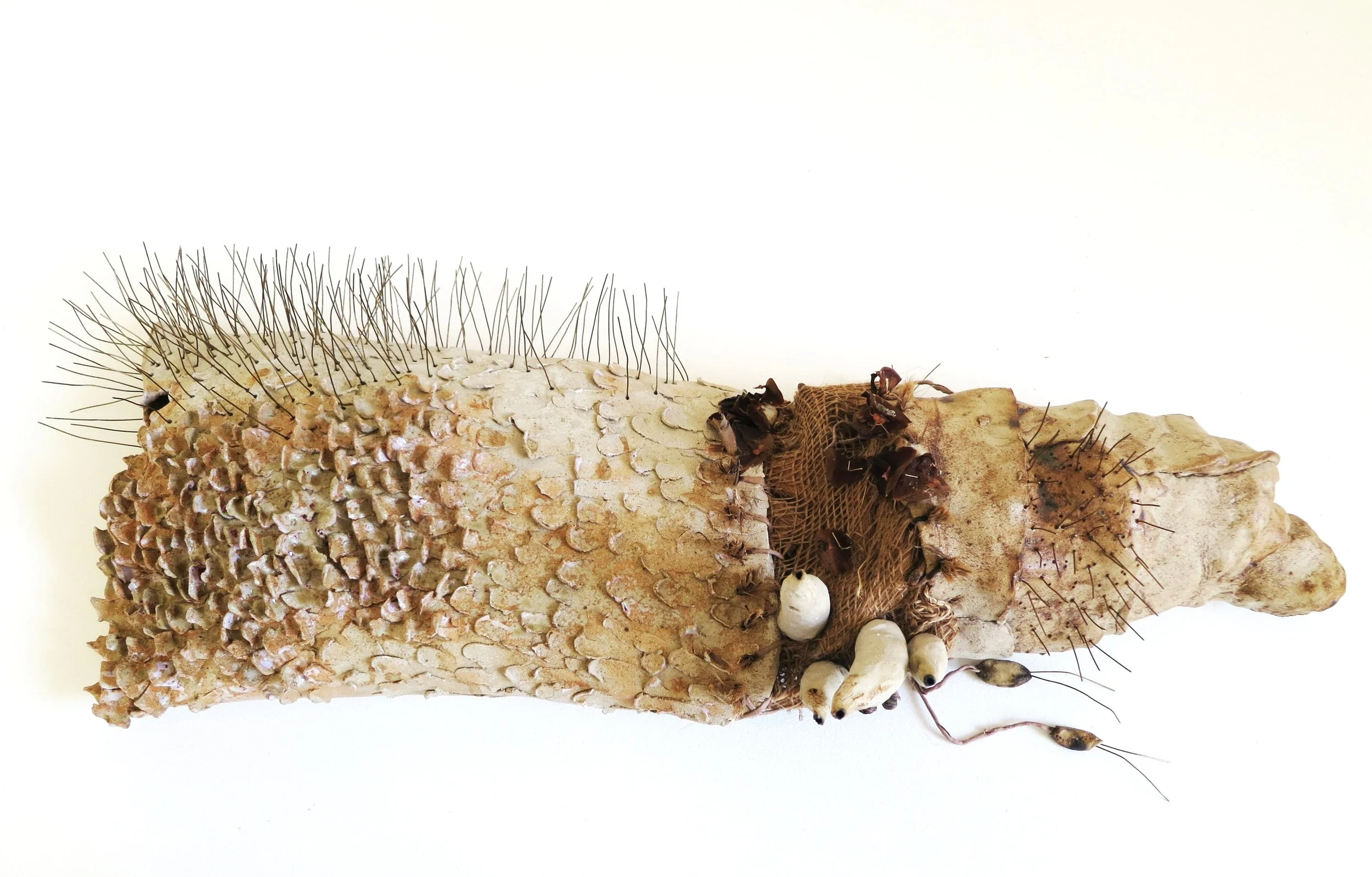 Adeline Contreras 1XXL.JPG