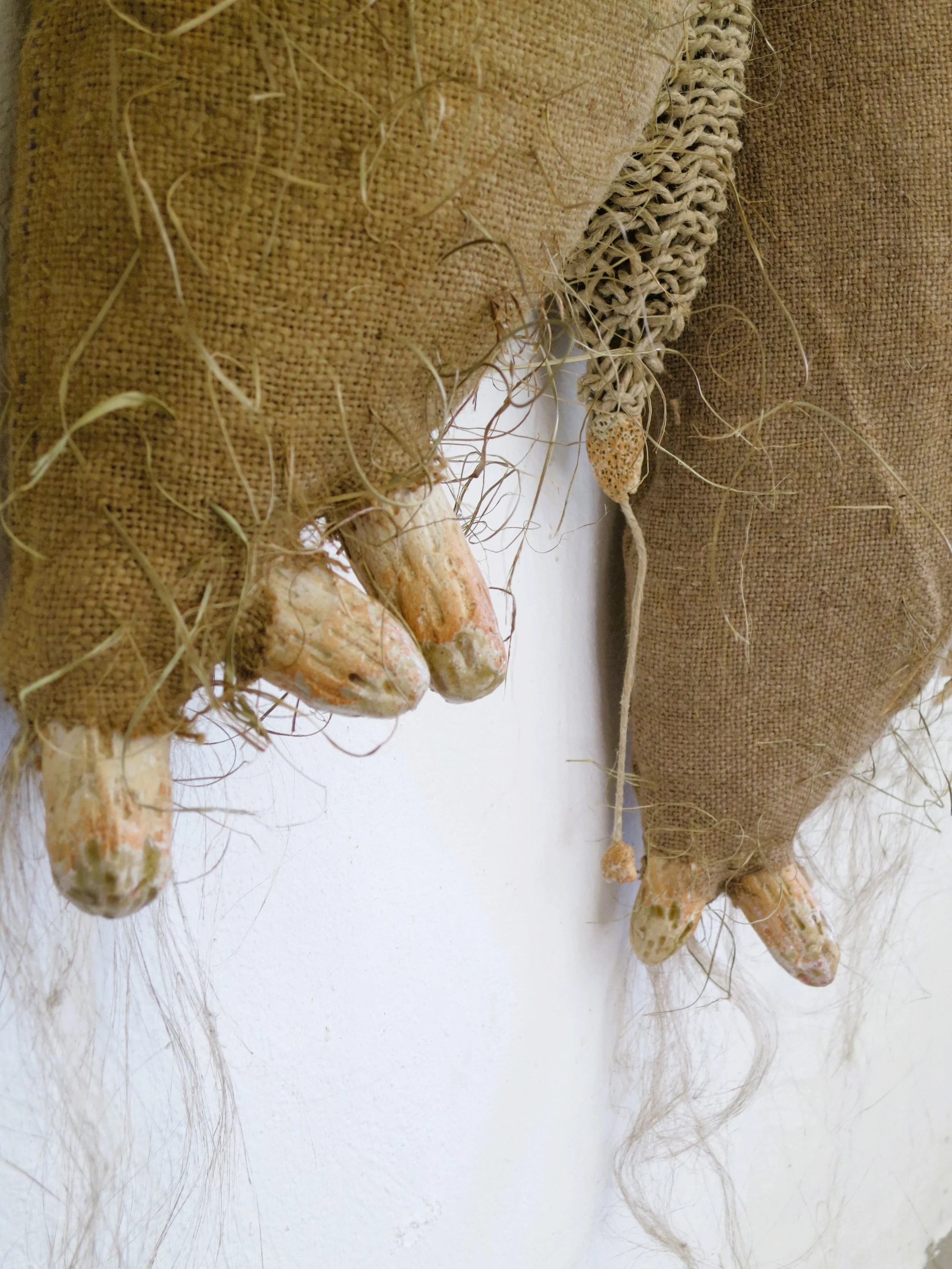 Racines de gingembre suspendues à un crochet, avec des sacs en toile de jute en arrière-plan.
