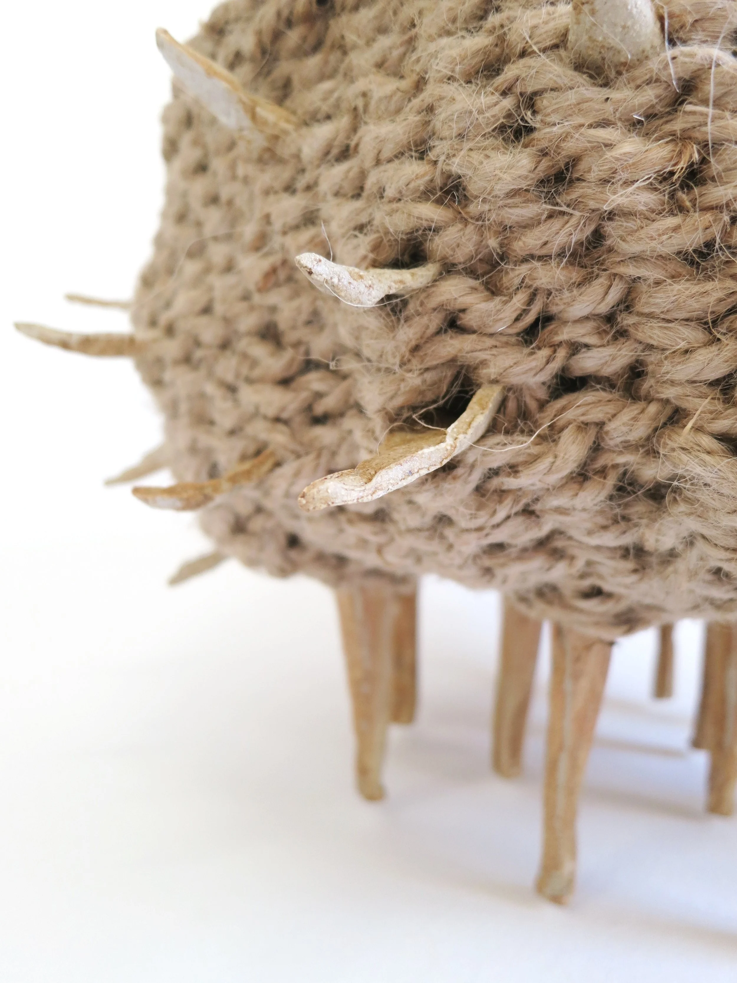 Adeline Contreras2détail).JPG