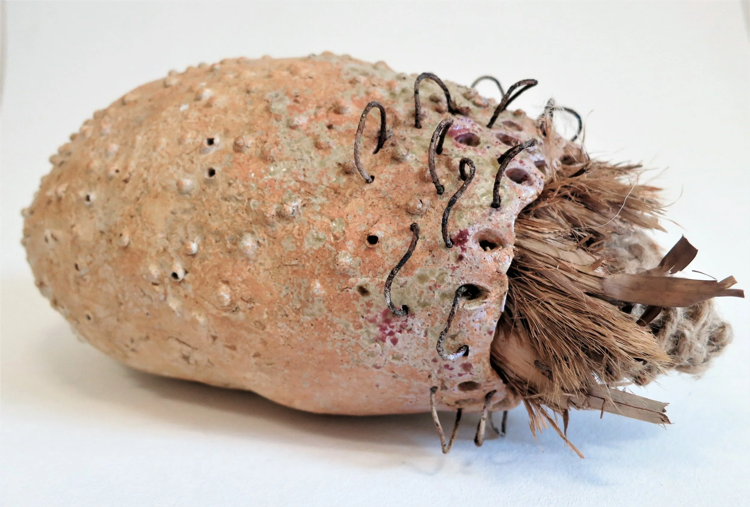 Cocon A.CONTRERAS.JPG