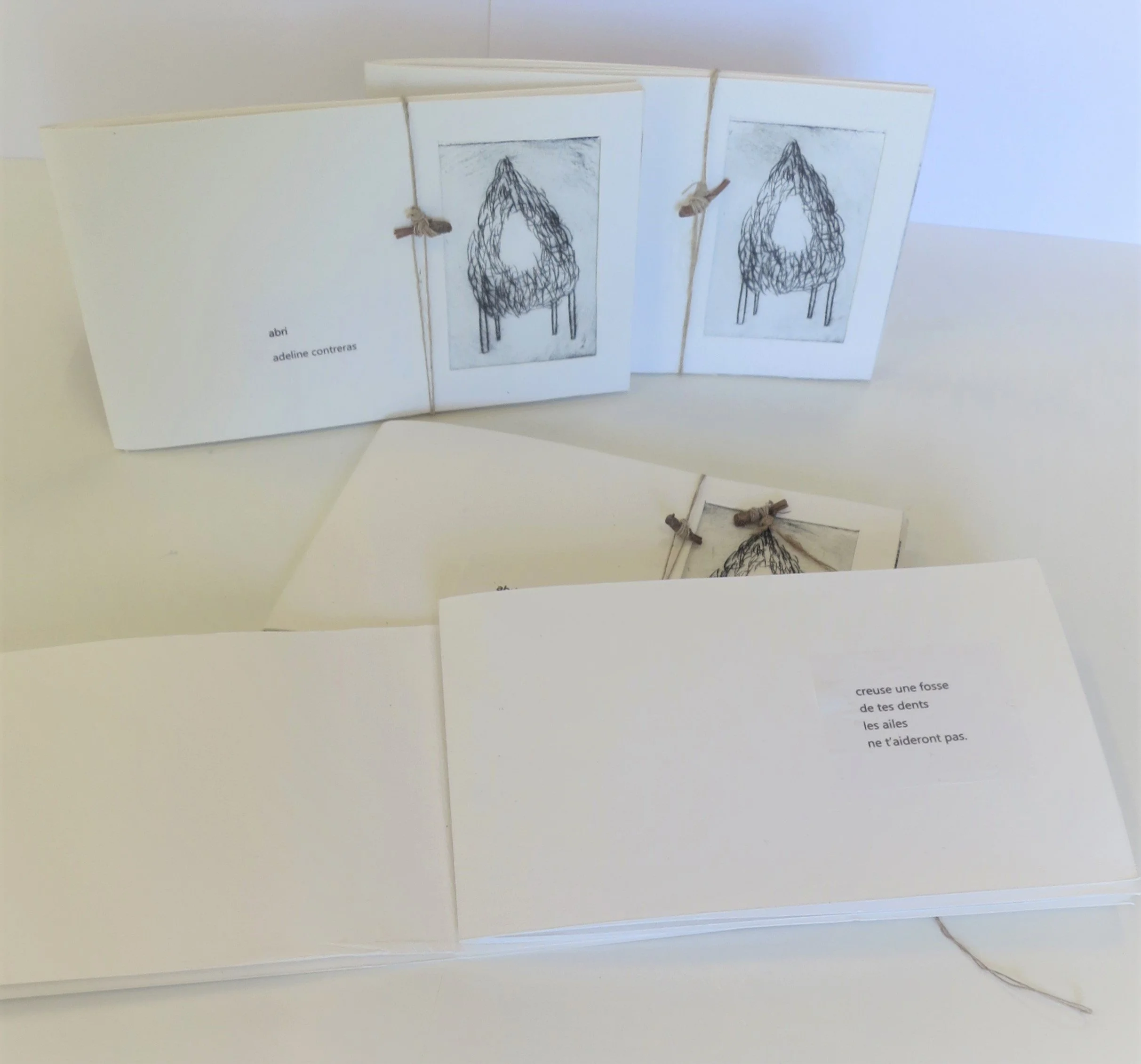 abri-adeline contreras.JPG