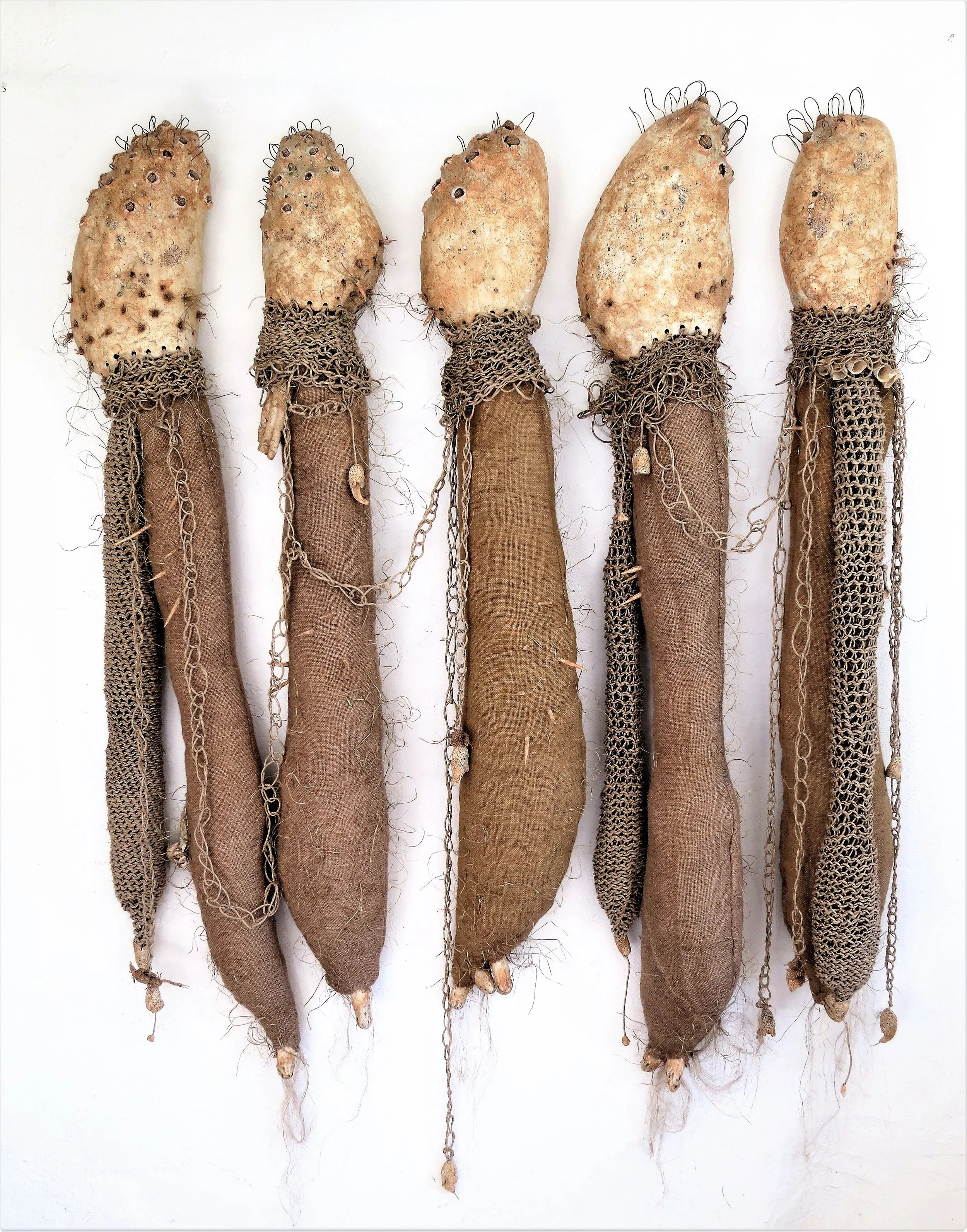 Carapaces - Adeline Contreras.JPG