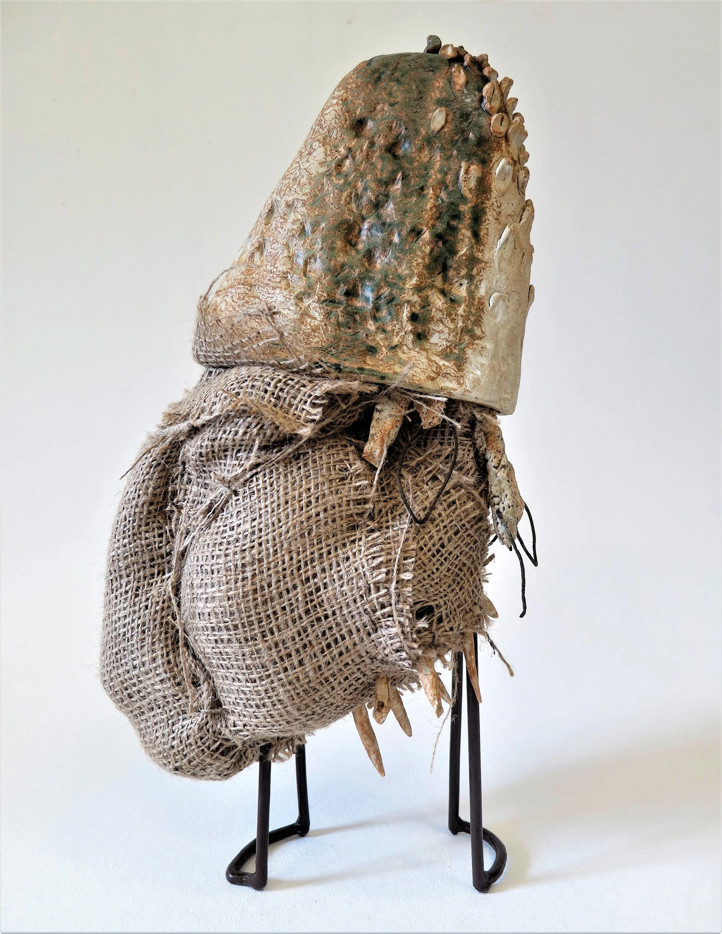 carapace qui déambule5.JPG