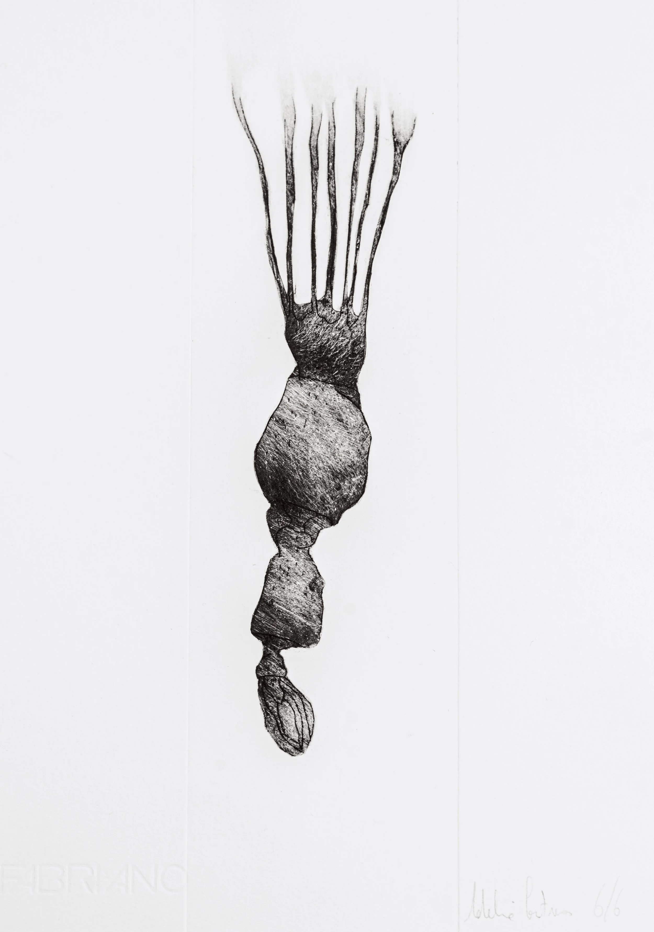 Une esquisse en noir et blanc d'une plume ou d'un objet ressemblant à une plume, dessinée dans un style artistique de croquis ou de gravure.