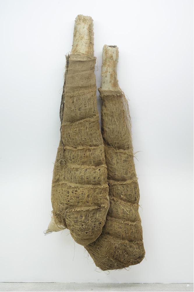 Adeline Contreras.png