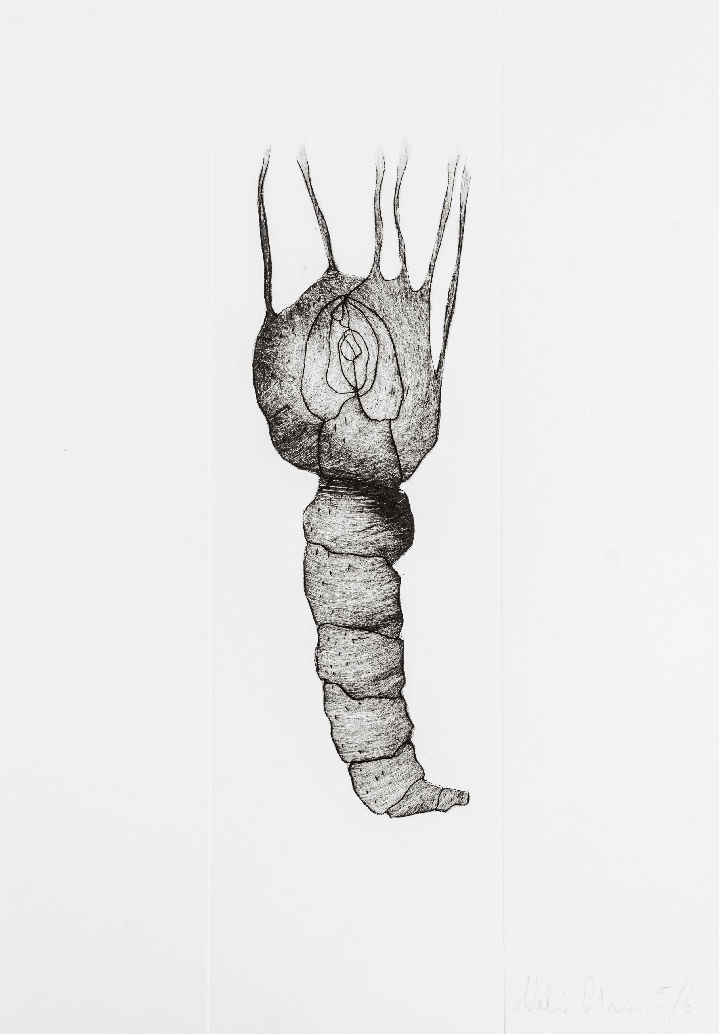 Dessin au crayon représentant un cœur avec une base cylindrique et une structure en forme de branchement de vaisseaux sanguins.