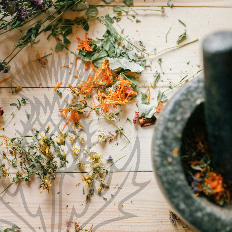 Herbal Detox Myths and Realities : An Herbalist’s Take