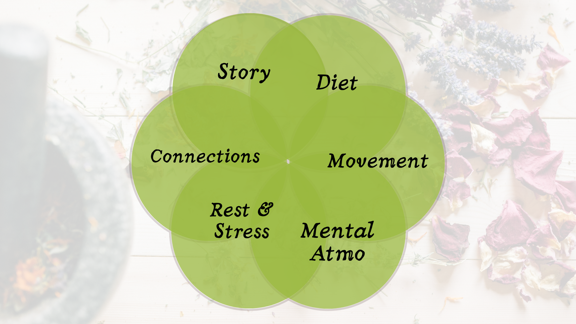 Herbalism &amp; Holistic Health in Salt Lake City