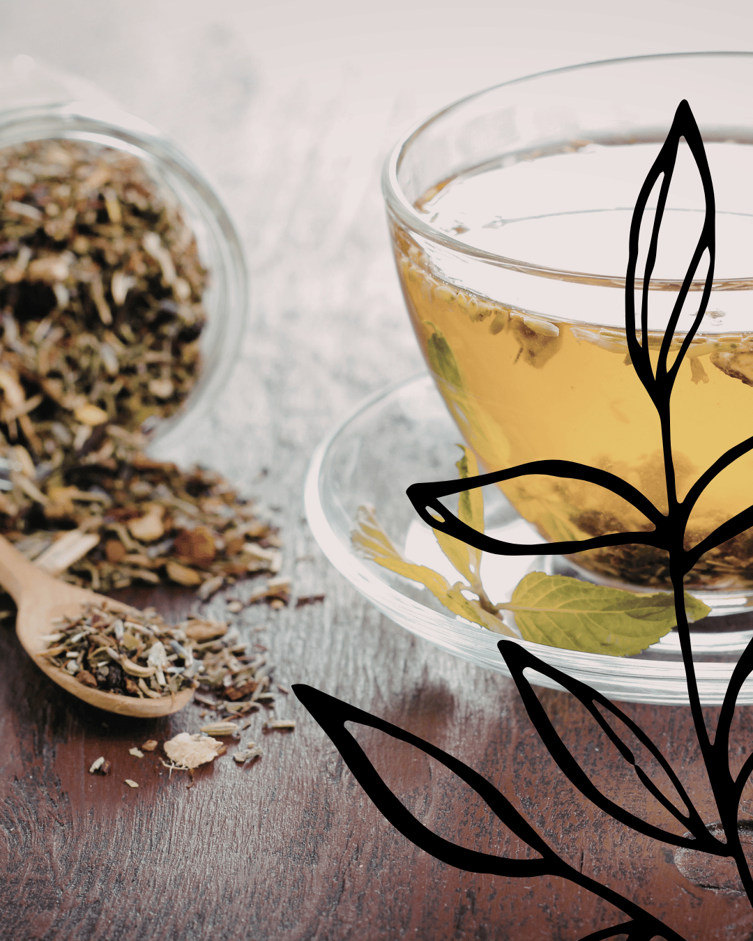 The Meditation of Herbal Medicine