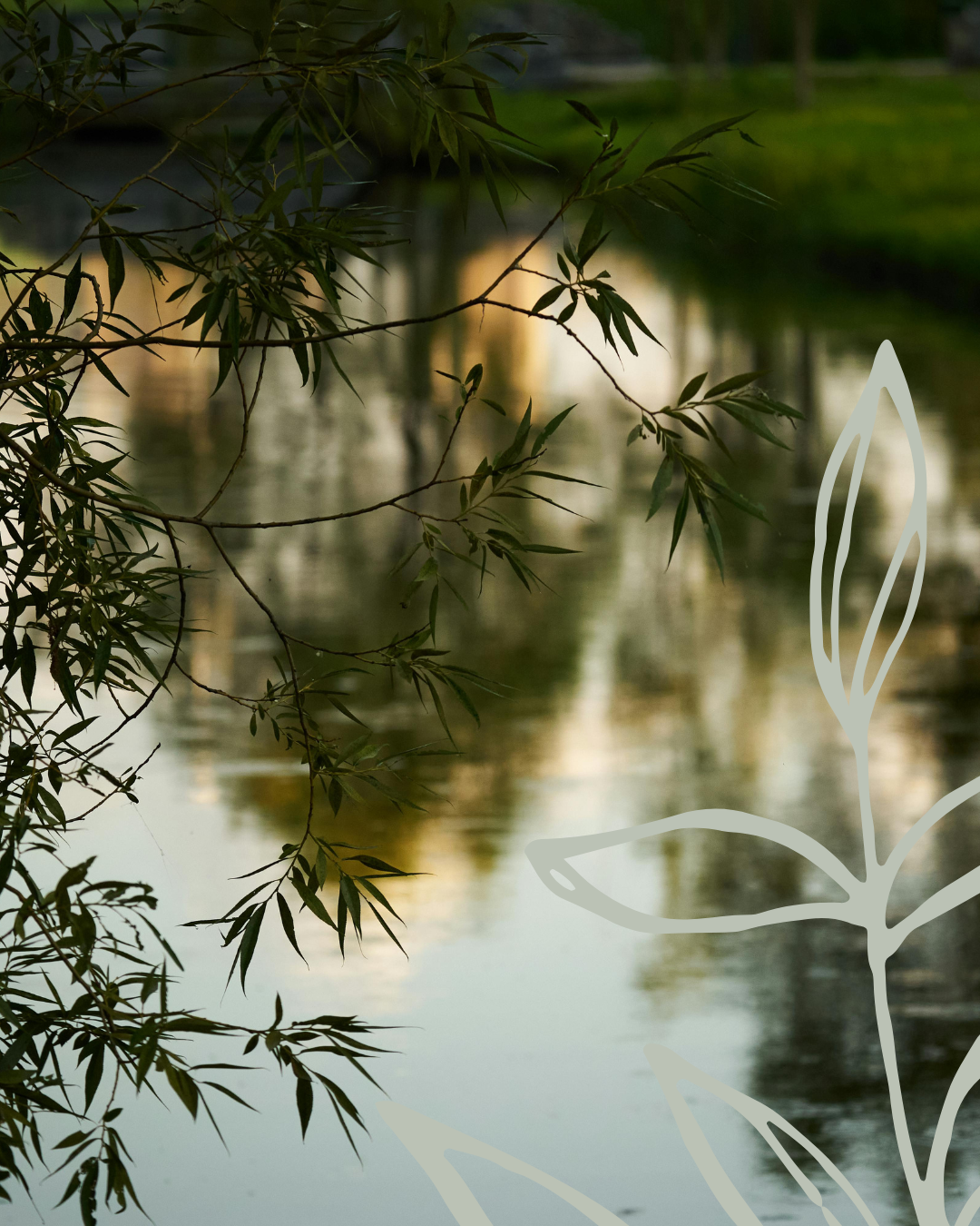 What Can an Herbalist Help Me With? A Guide to Herbal Medicine in Salt Lake City