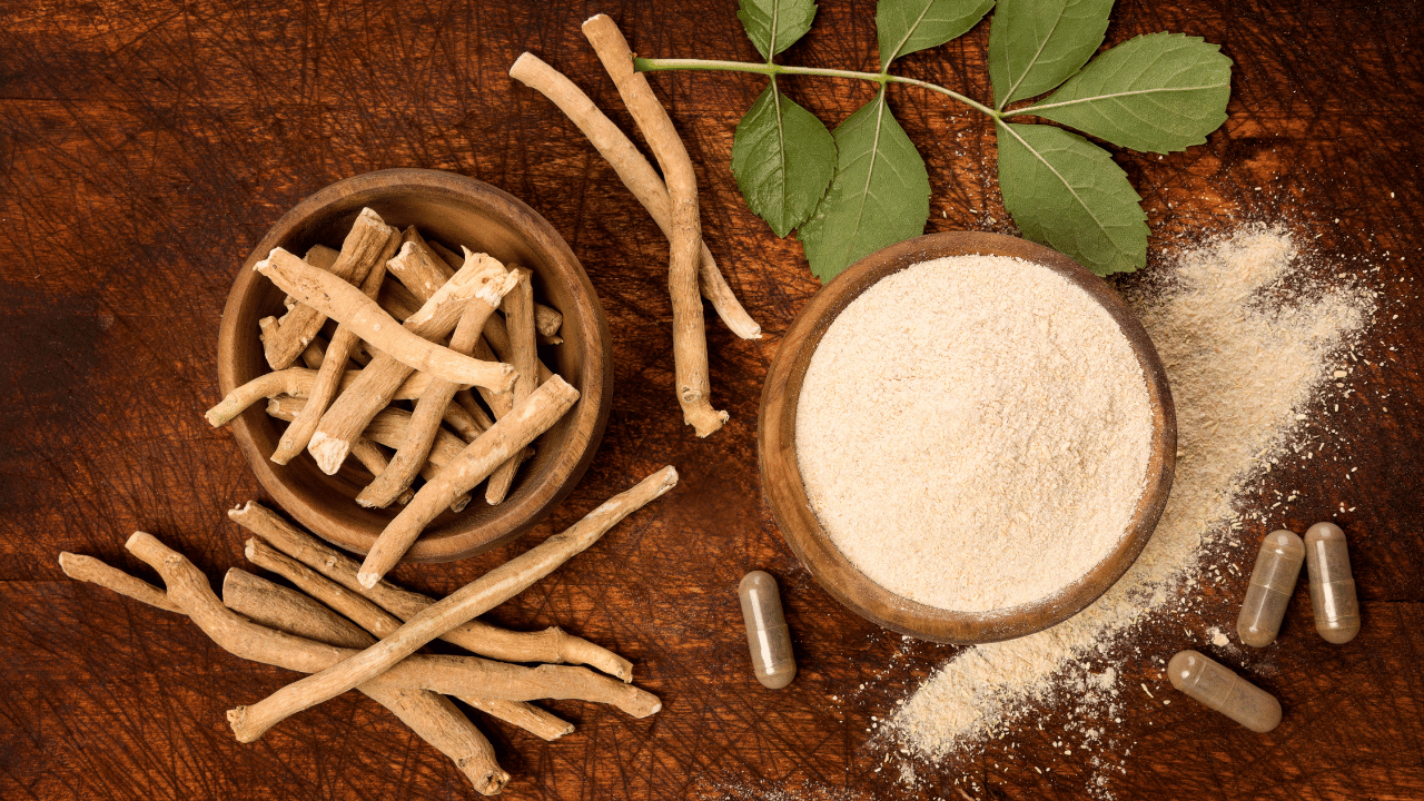 Herbal Medicine for Stress &amp; Anxiety: A Comprehensive Guide from a Salt Lake City Herbalist