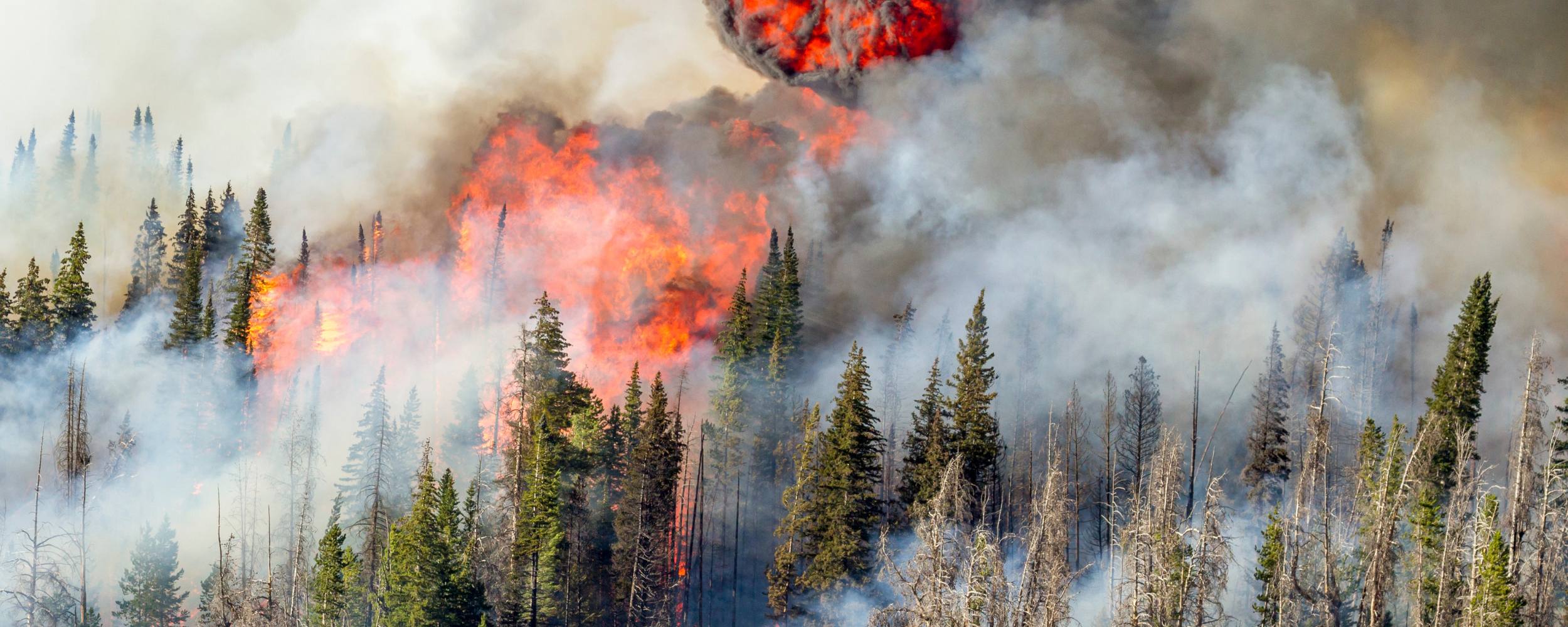 The Quiet Depletion of Fire Season on the Nervous System