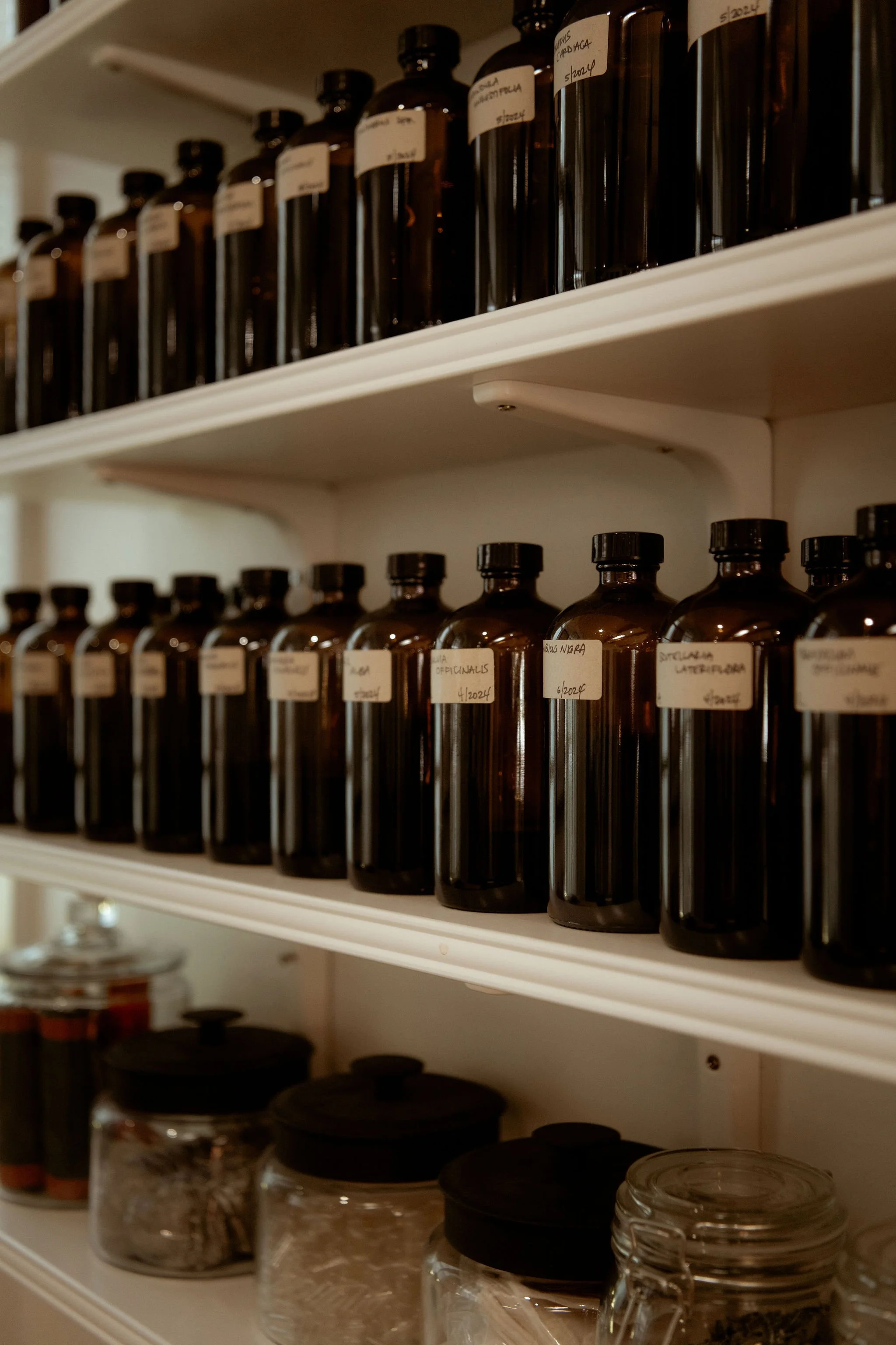 When the Mind Won’t Stop: Herbal Support for Worry, Rumination, and Anxious Thinking