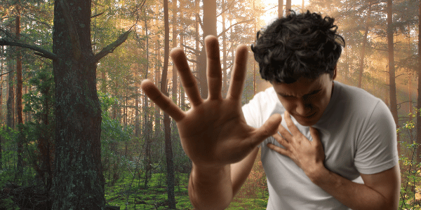 Herbal Medicine for Panic Attacks · Getting to the Root With Real, Effective Plant Support