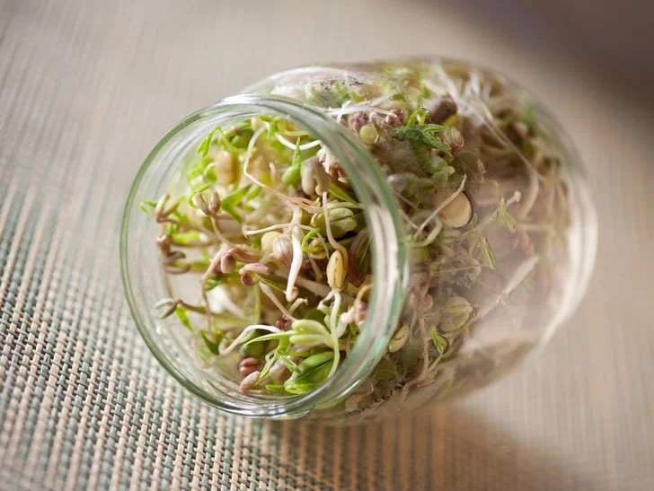 Glass jar filled with sprouting microgreens on a woven surface.